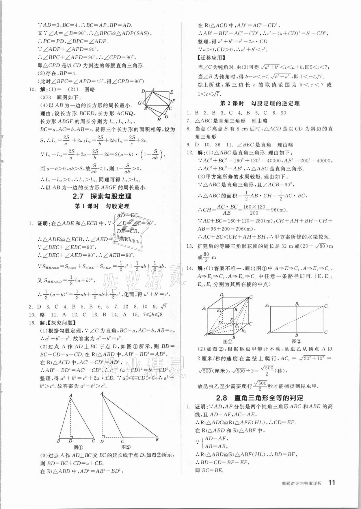 2020年全品优等生同步作业加自主招生八年级数学上册浙教版 参考答案第7页