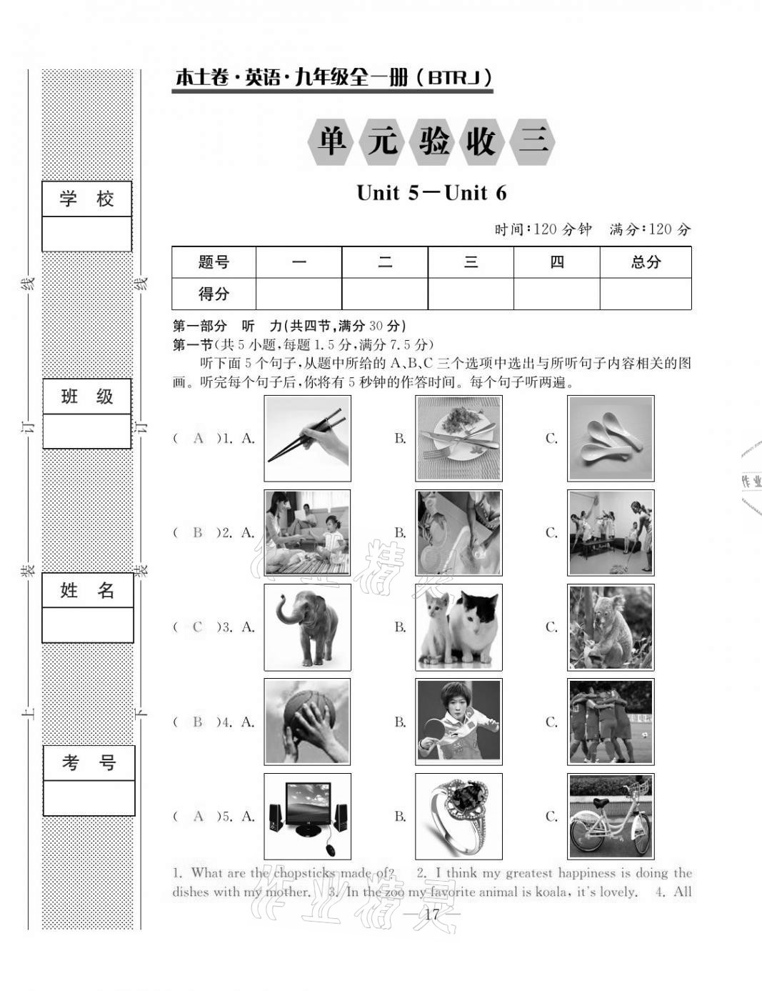 2020年本土卷九年級(jí)英語全一冊人教版 第17頁