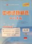 2021年天利38套中考試題精選化學(xué)四川專版