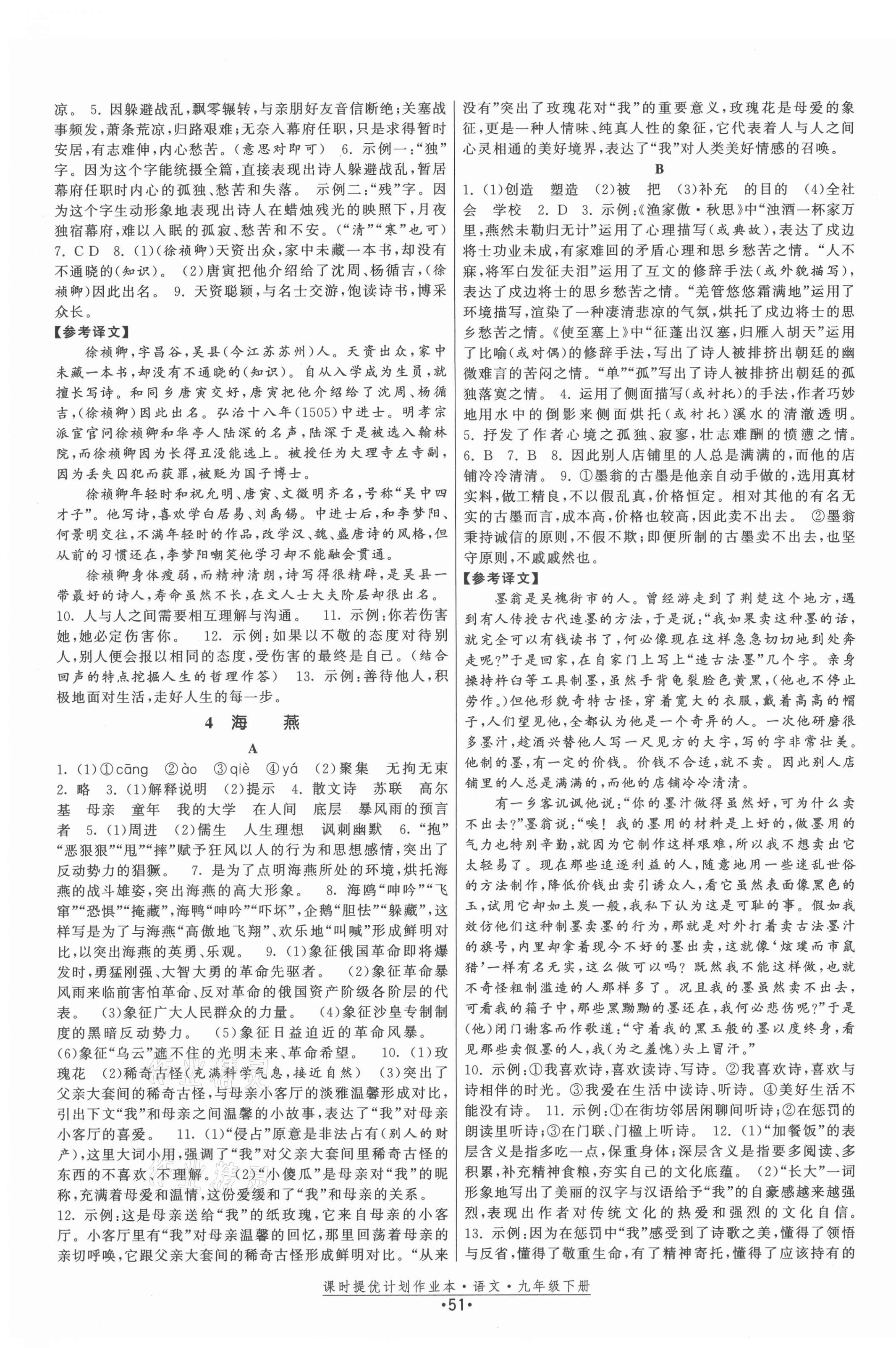 2021年課時提優(yōu)計劃作業(yè)本九年級語文下冊人教版 第3頁