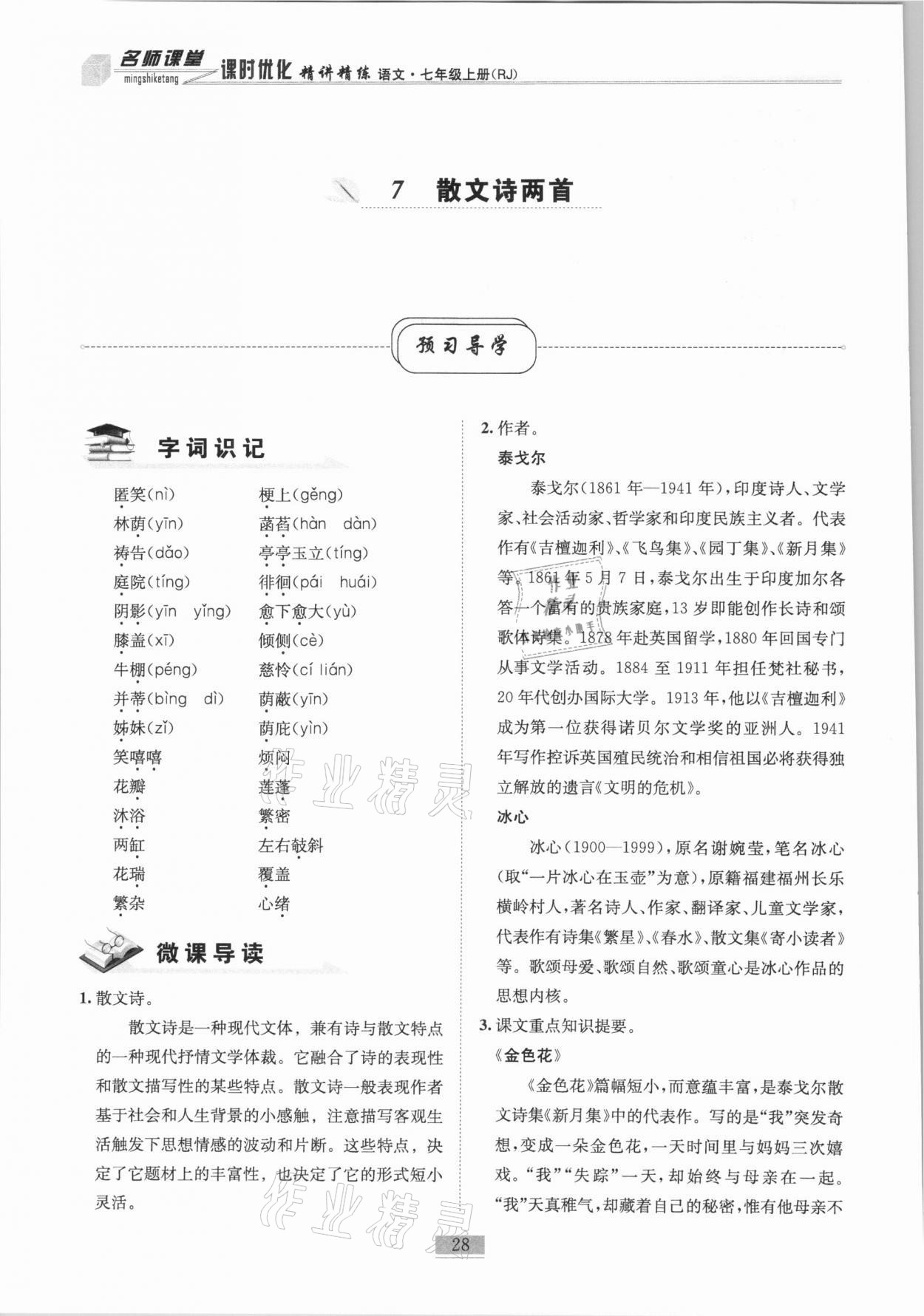 2020年名師課堂課時優(yōu)化精講精練七年級語文上冊人教版 第28頁