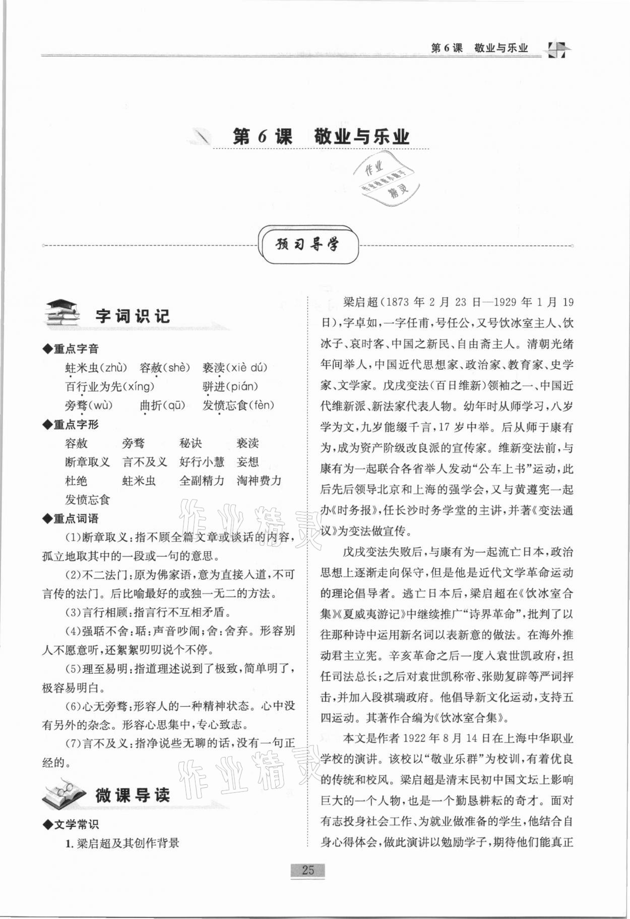 2020年名師課堂課時優(yōu)化精講精練九年級語文上冊人教版 第25頁