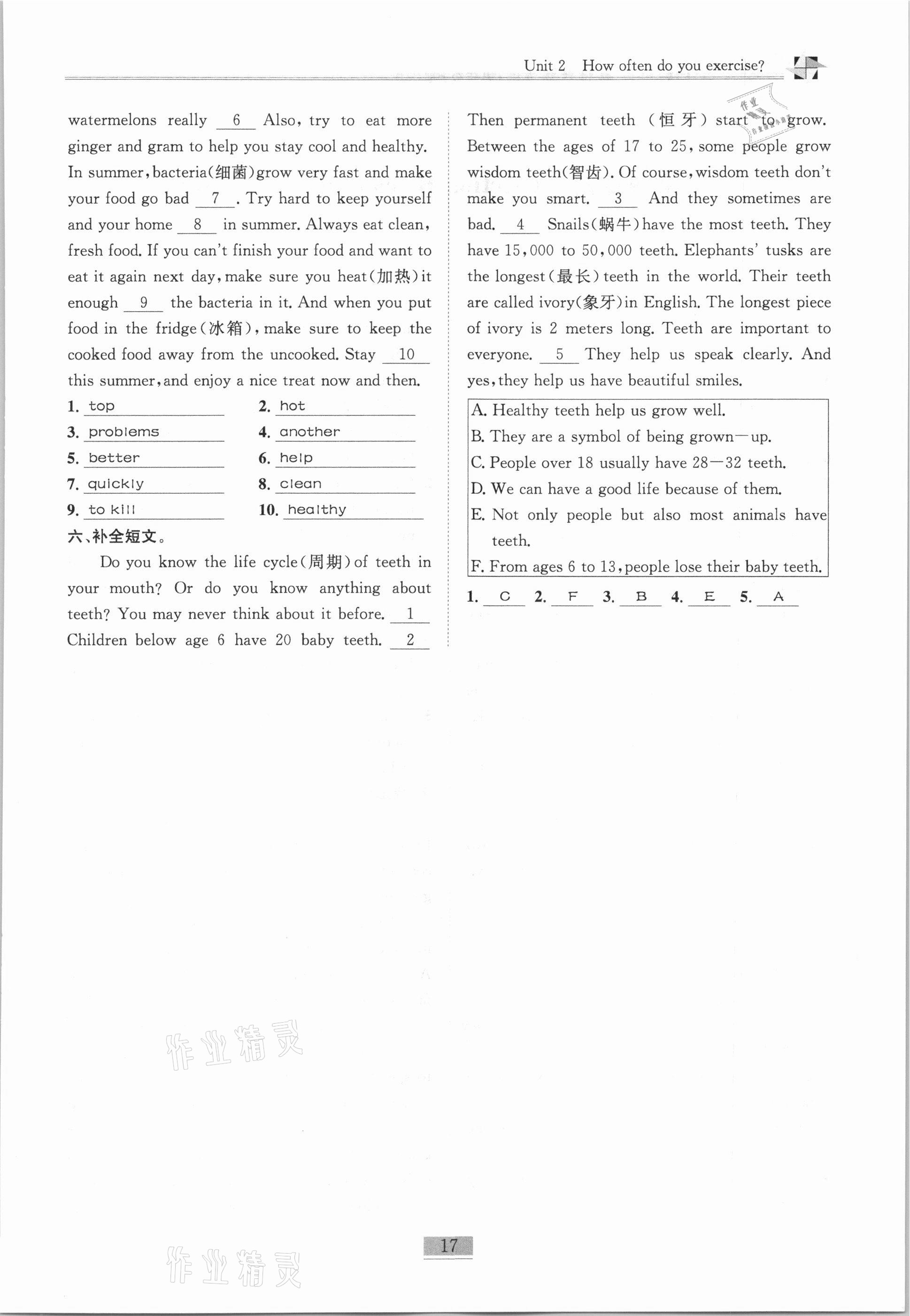 2020年名師課堂課時(shí)優(yōu)化精講精練八年級(jí)英語上冊(cè)人教版 參考答案第17頁(yè)