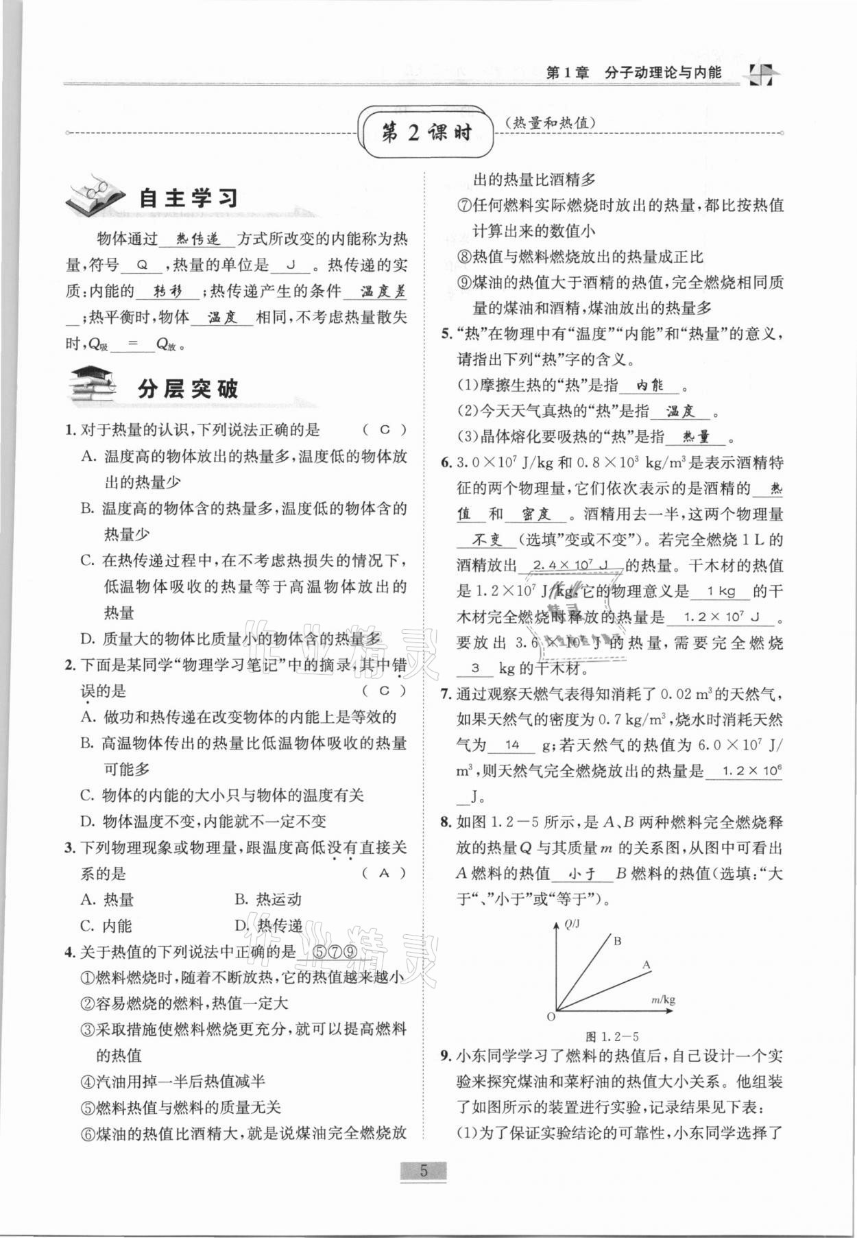 2020年名師課堂課時優化精講精練九年級物理上冊教科版 第5頁