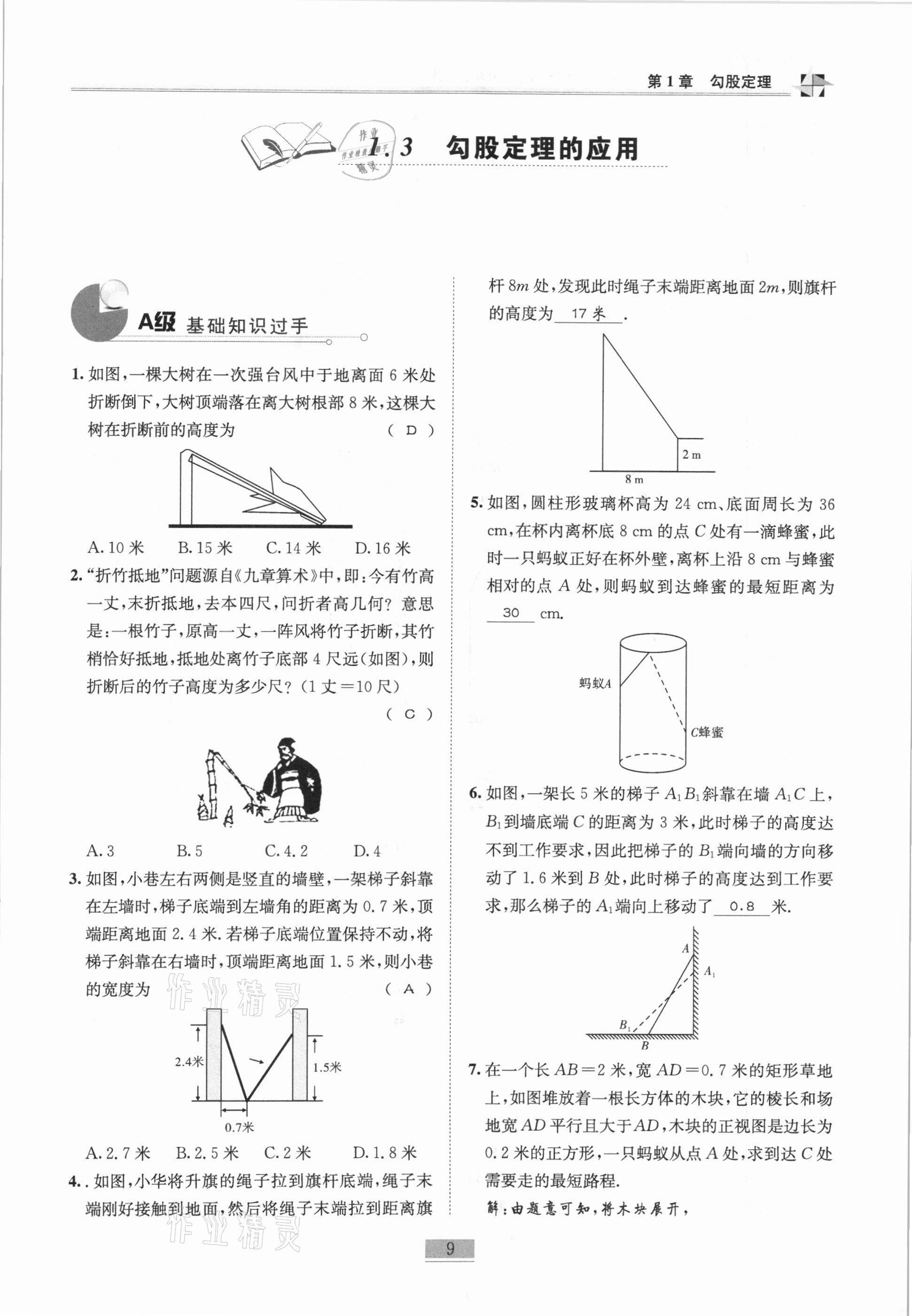 2020年名師課堂課時(shí)優(yōu)化精講精練八年級(jí)數(shù)學(xué)上冊(cè)北師大版 參考答案第9頁