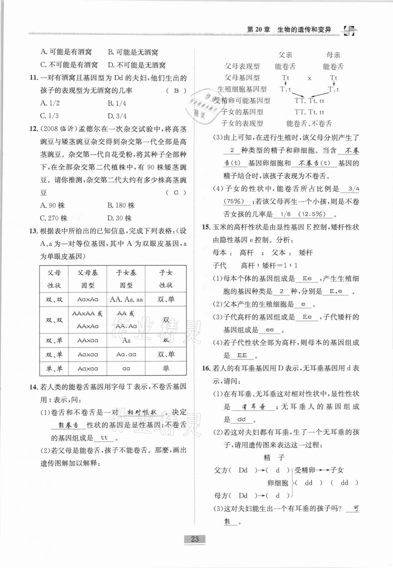 2020年名師課堂課時優(yōu)化精講精練八年級生物全一冊北師大版 第23頁