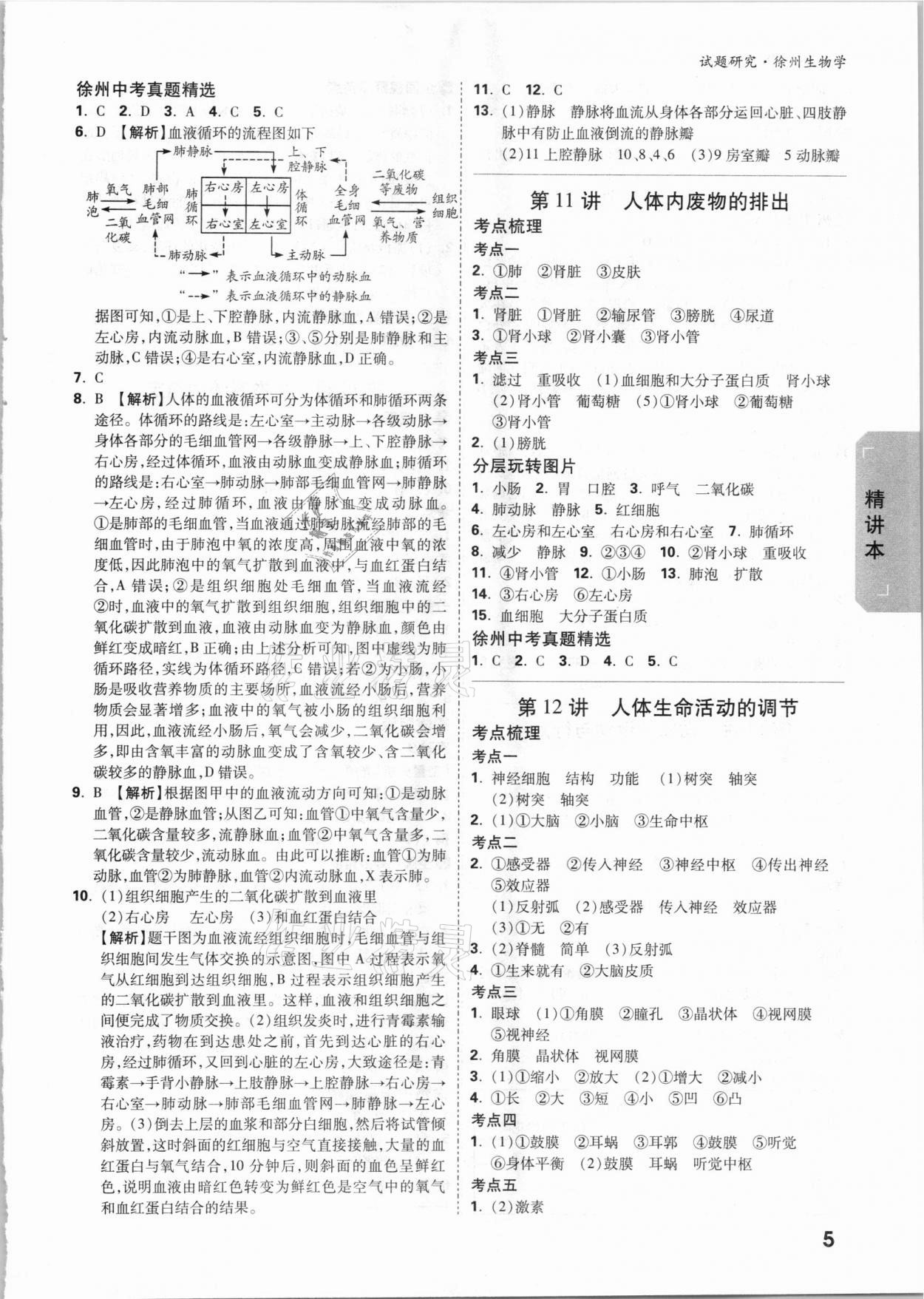 2021年萬唯中考試題研究生物學(xué)徐州專版 參考答案第4頁(yè)