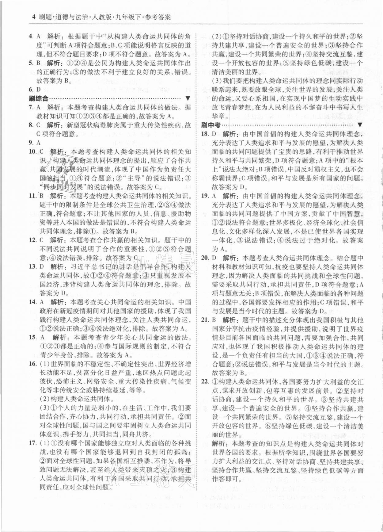 2021年北大綠卡刷題九年級(jí)道德與法治下冊(cè)人教版 第4頁