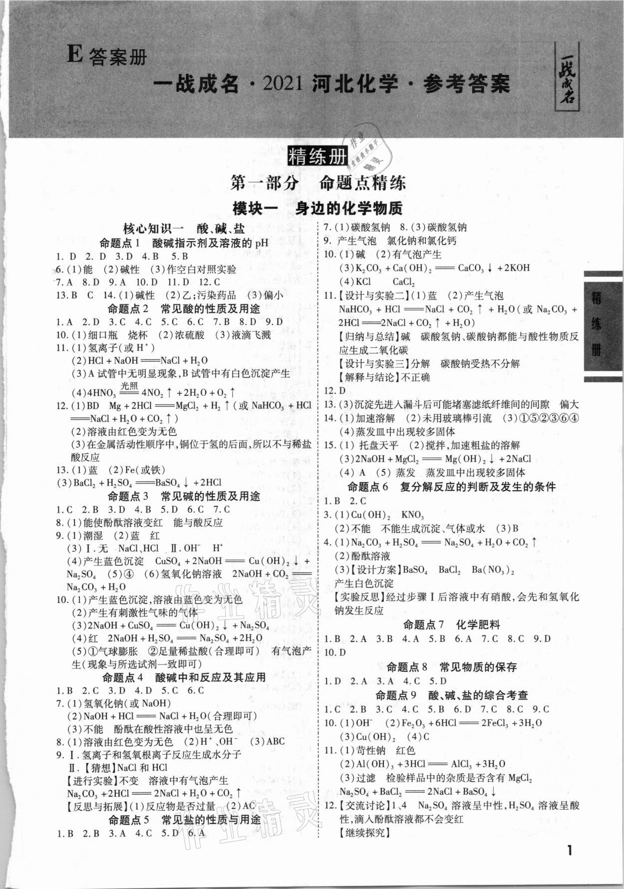 2021年一战成名考前新方案化学河北专用 第1页