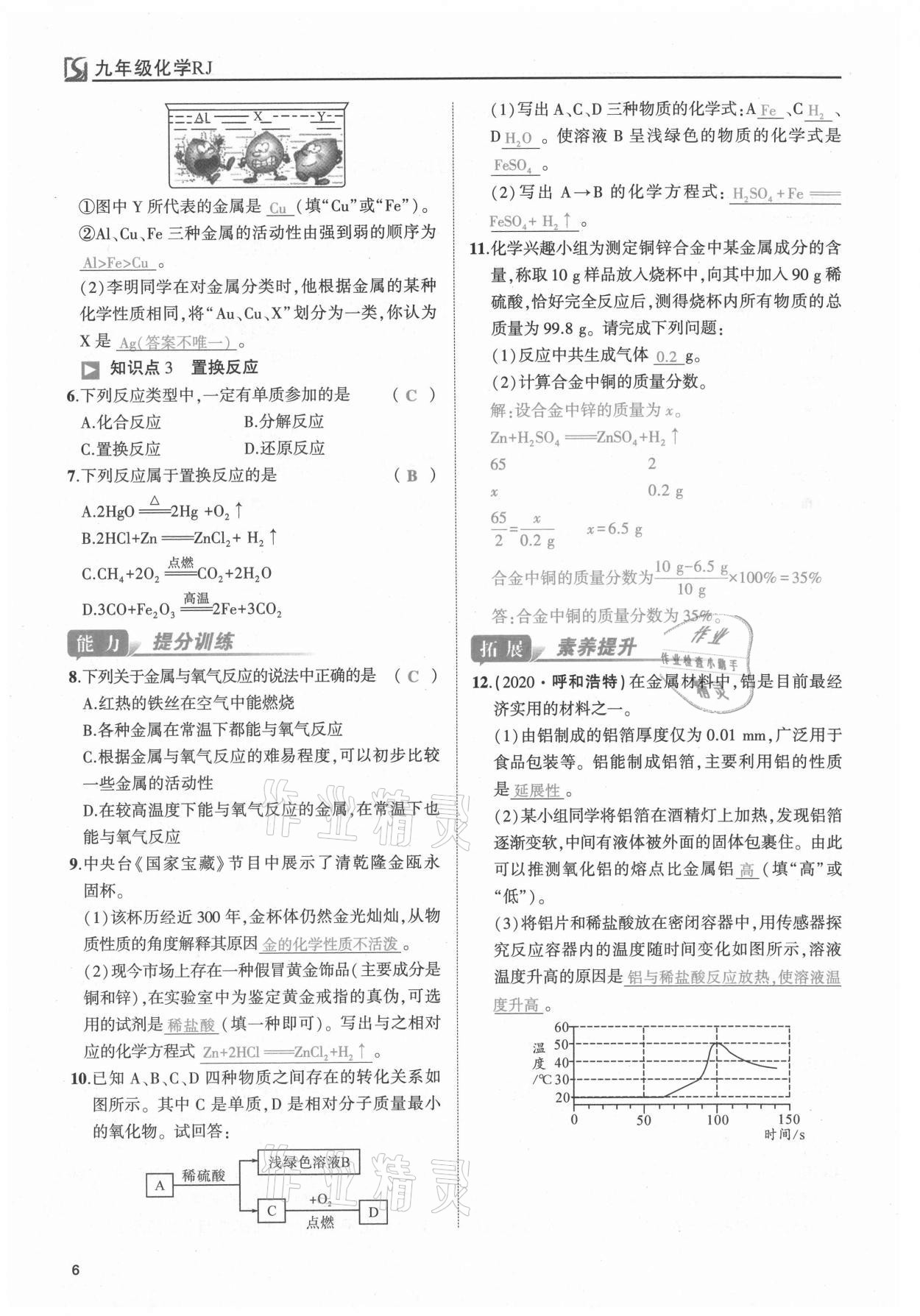 2021年我的作業(yè)九年級化學(xué)下冊人教版 第6頁