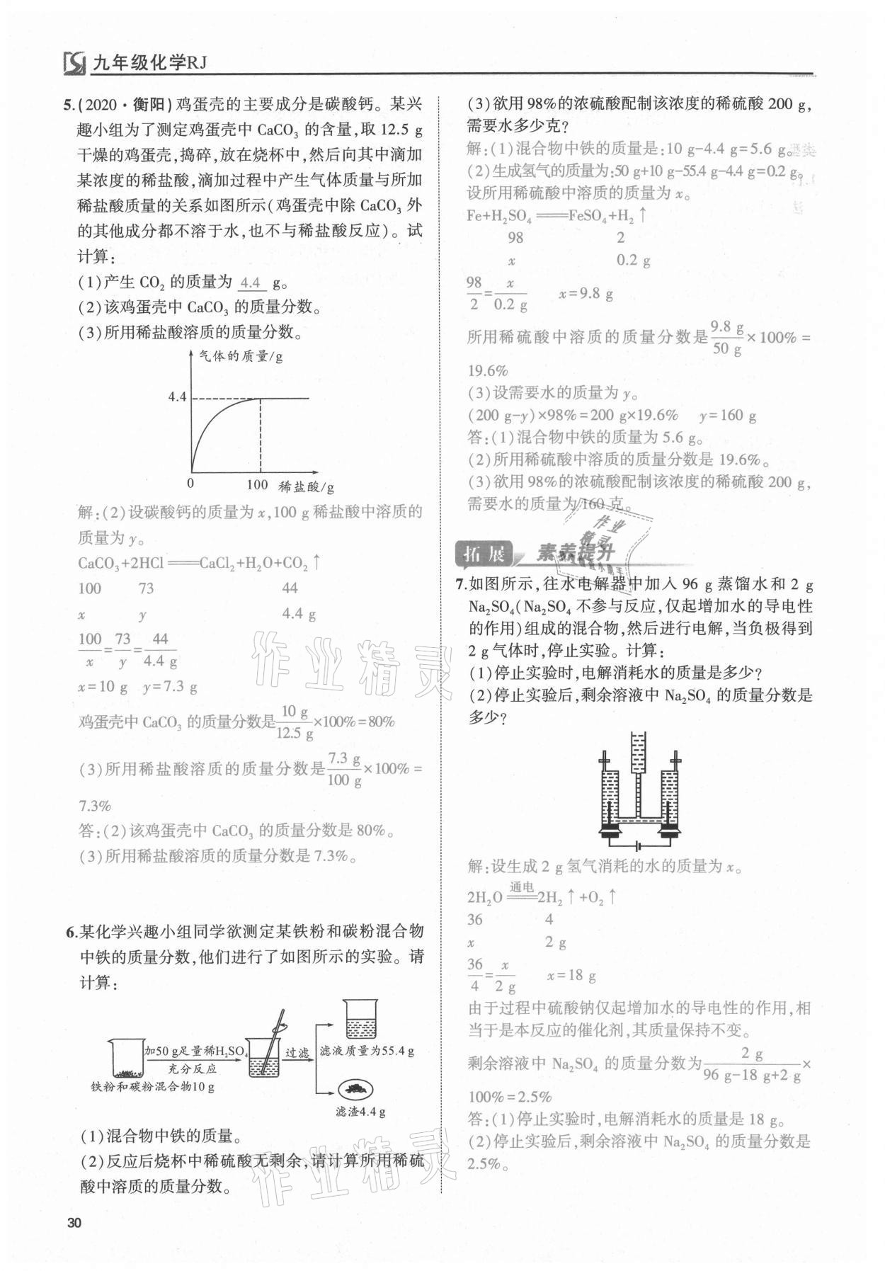 2021年我的作業(yè)九年級化學下冊人教版 第30頁