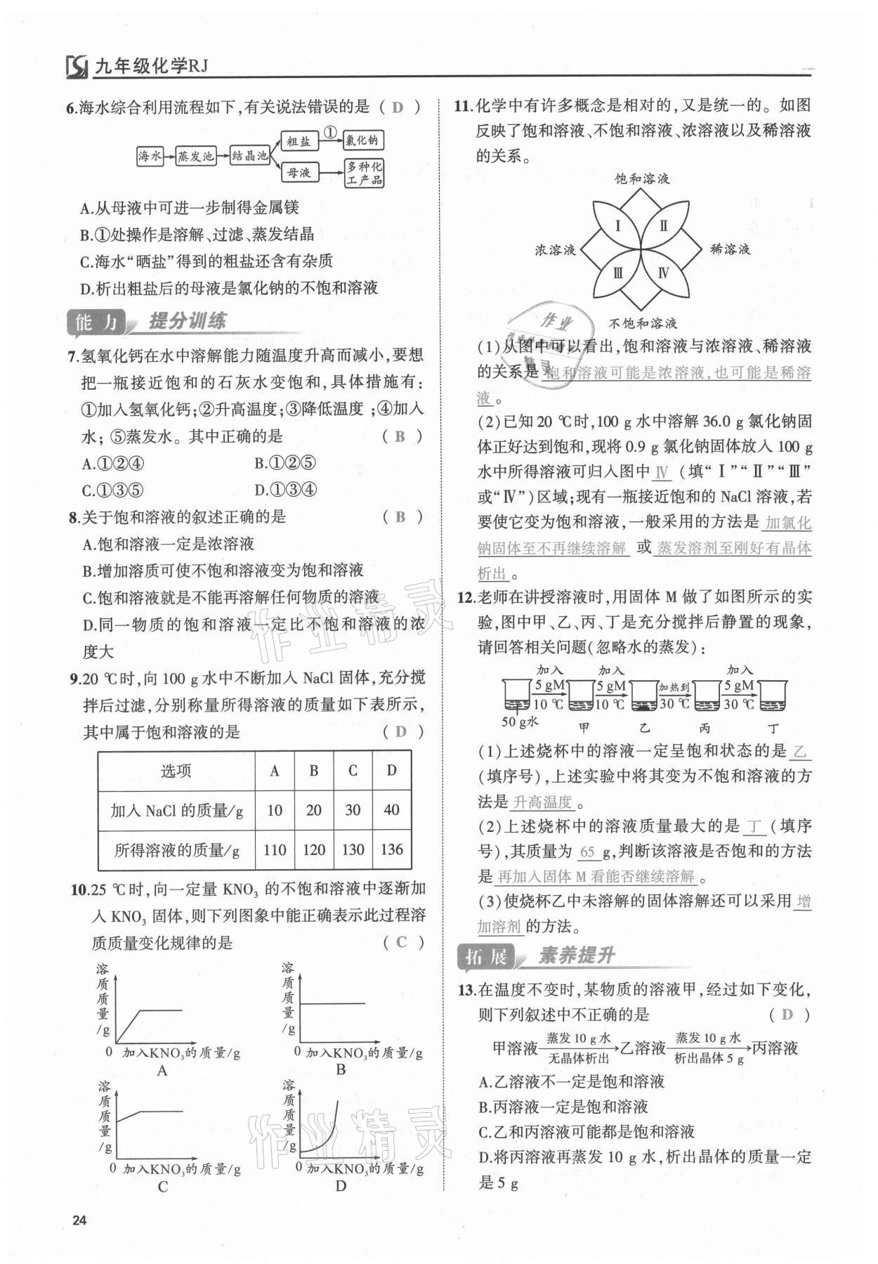 2021年我的作業(yè)九年級化學下冊人教版 第24頁