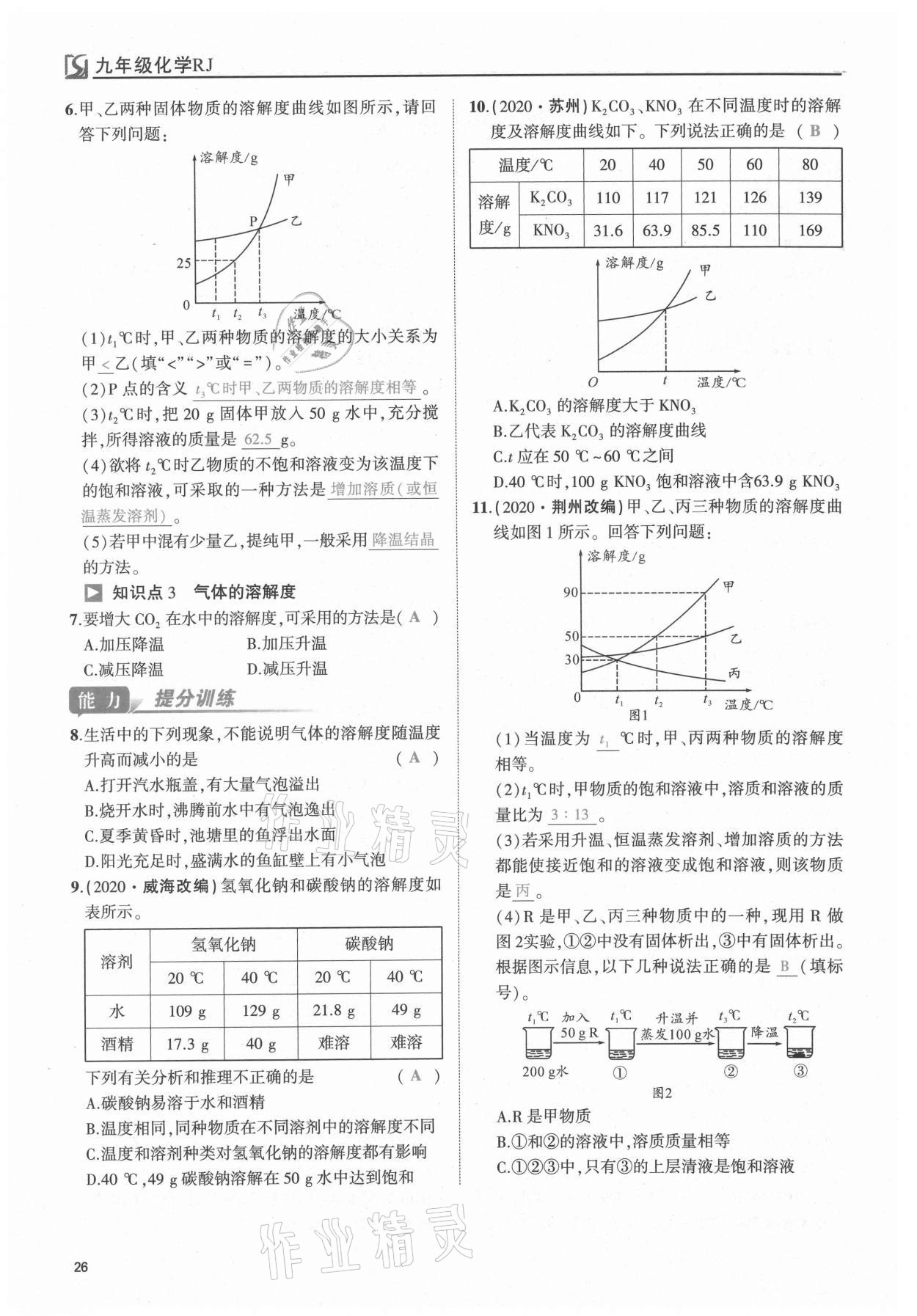 2021年我的作業(yè)九年級化學下冊人教版 第26頁