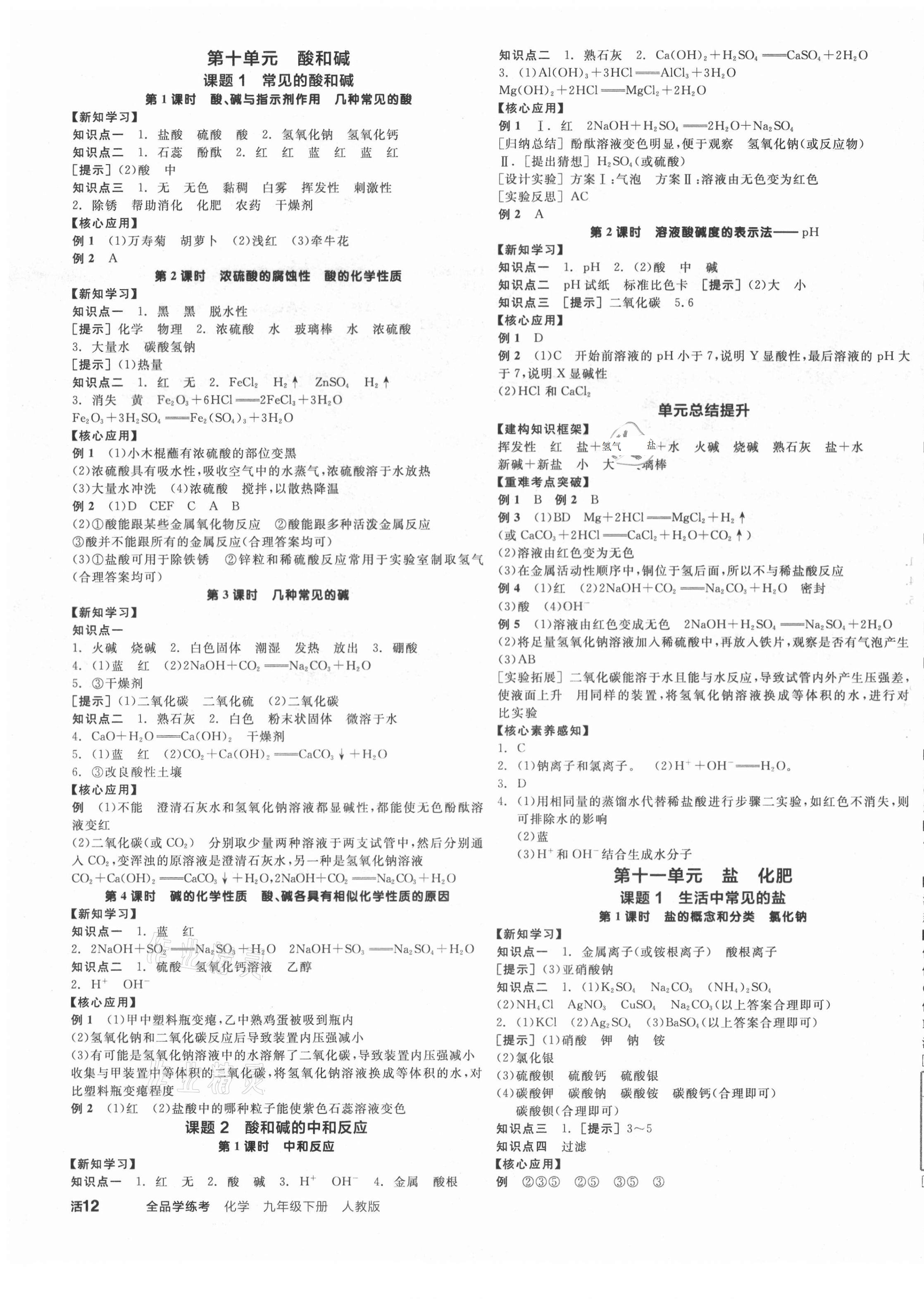 2021年全品學(xué)練考九年級化學(xué)下冊人教版 第3頁