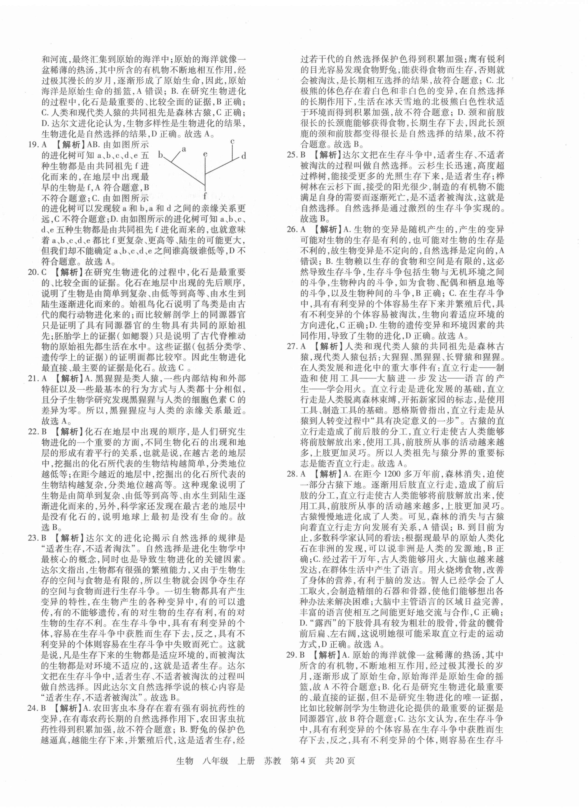 2020年期末考試必刷卷八年級(jí)生物上冊(cè)蘇教版九縣七區(qū)專(zhuān)版 第4頁(yè)