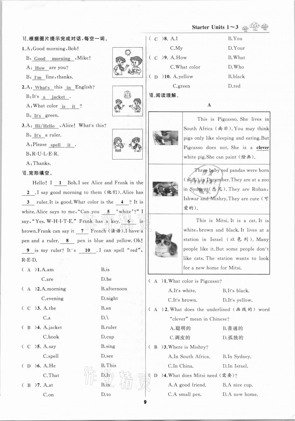 2020年我是高高手七年級英語上冊人教版 第9頁