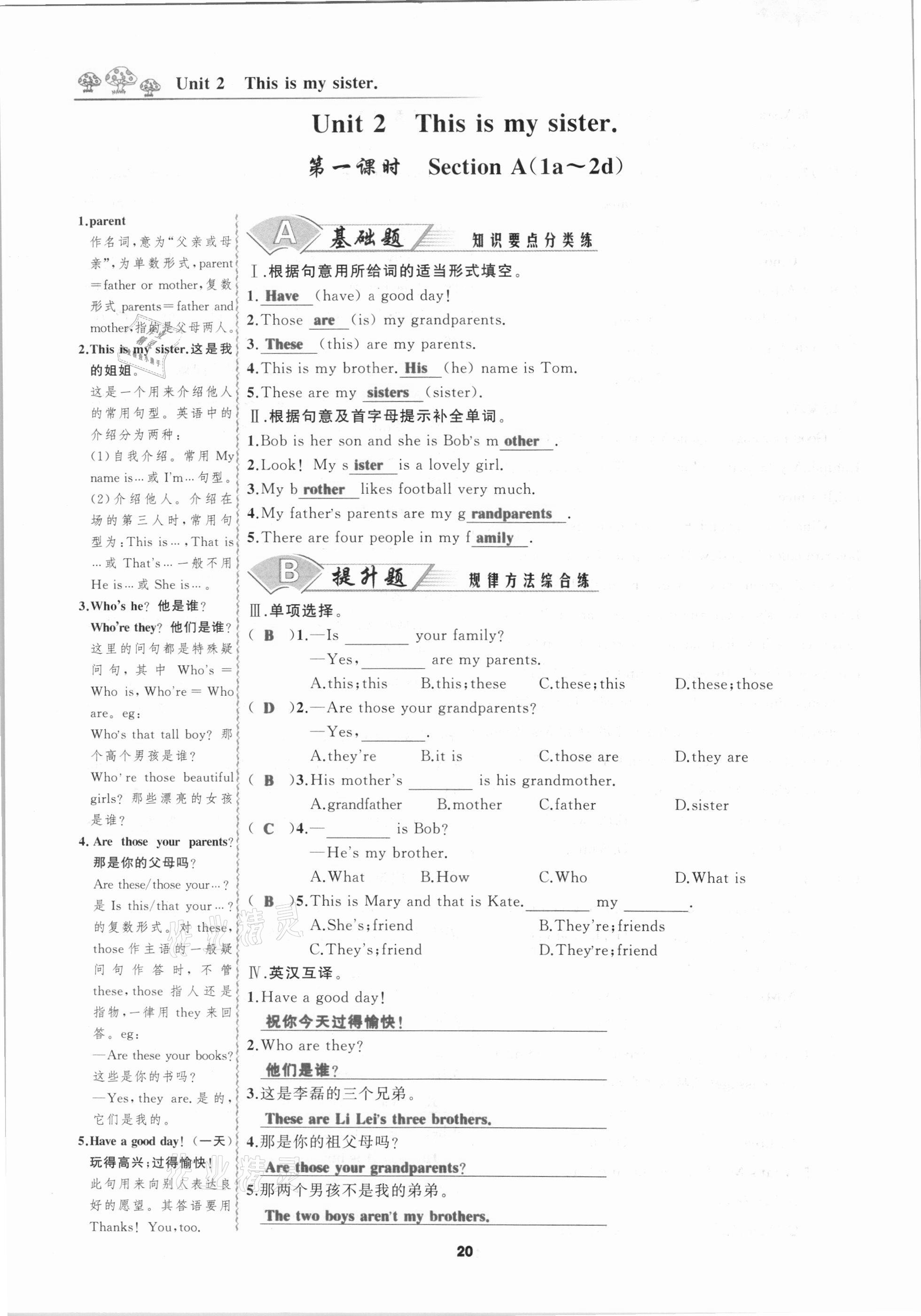 2020年我是高高手七年級英語上冊人教版 第20頁