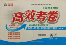 2020年同步AB卷高效考卷七年級(jí)英語(yǔ)上冊(cè)人教版
