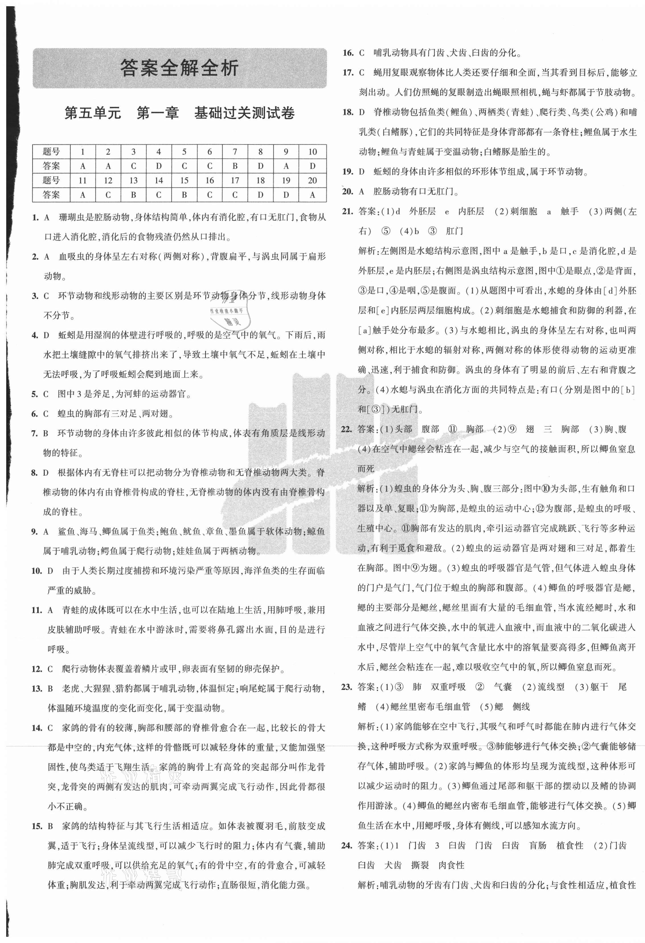 2020年5年中考3年模擬初中試卷八年級(jí)生物上冊(cè)人教版 第1頁(yè)