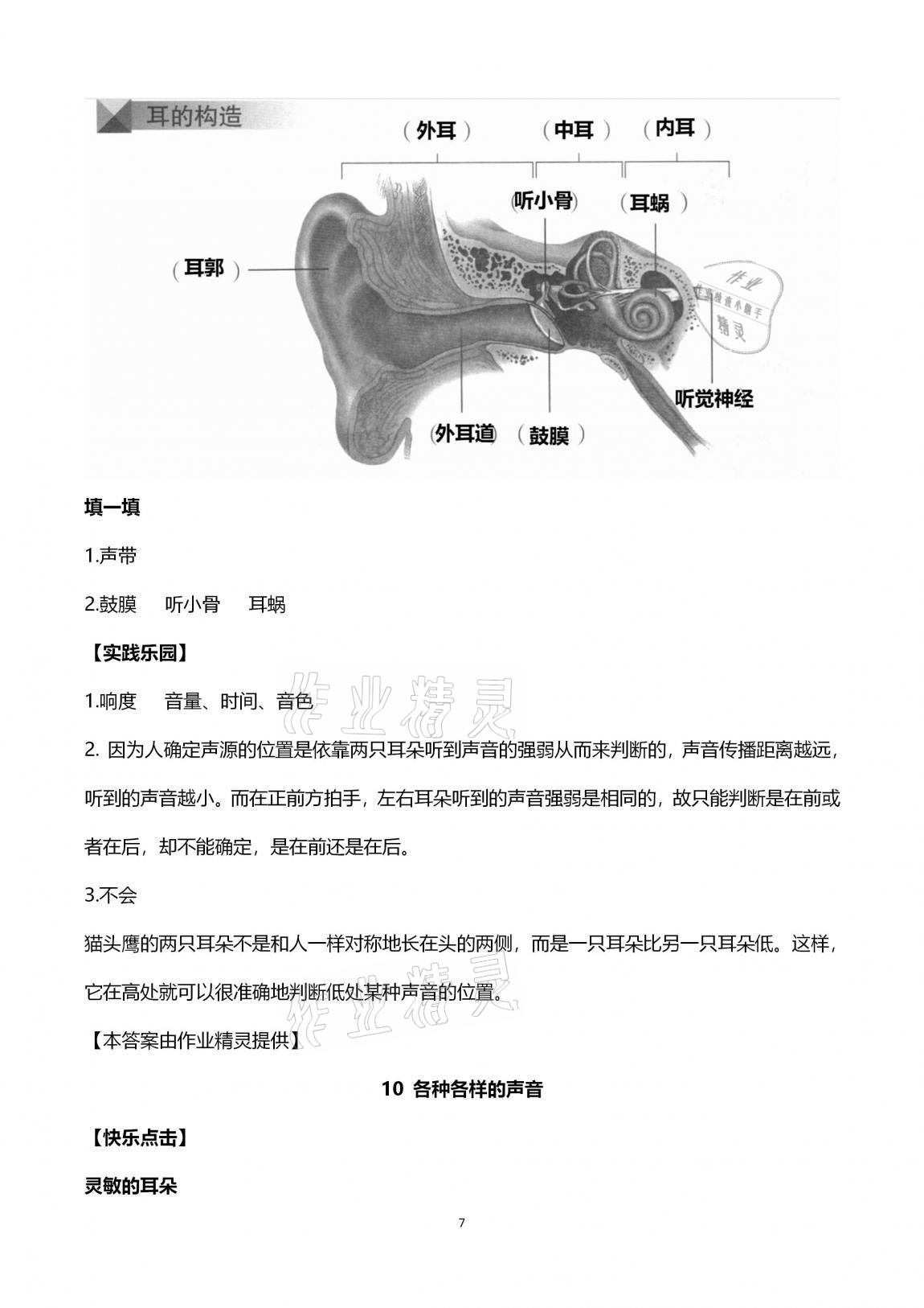 2020年新课堂同步学习与探究五年级科学上册青岛版金乡专版 第7页