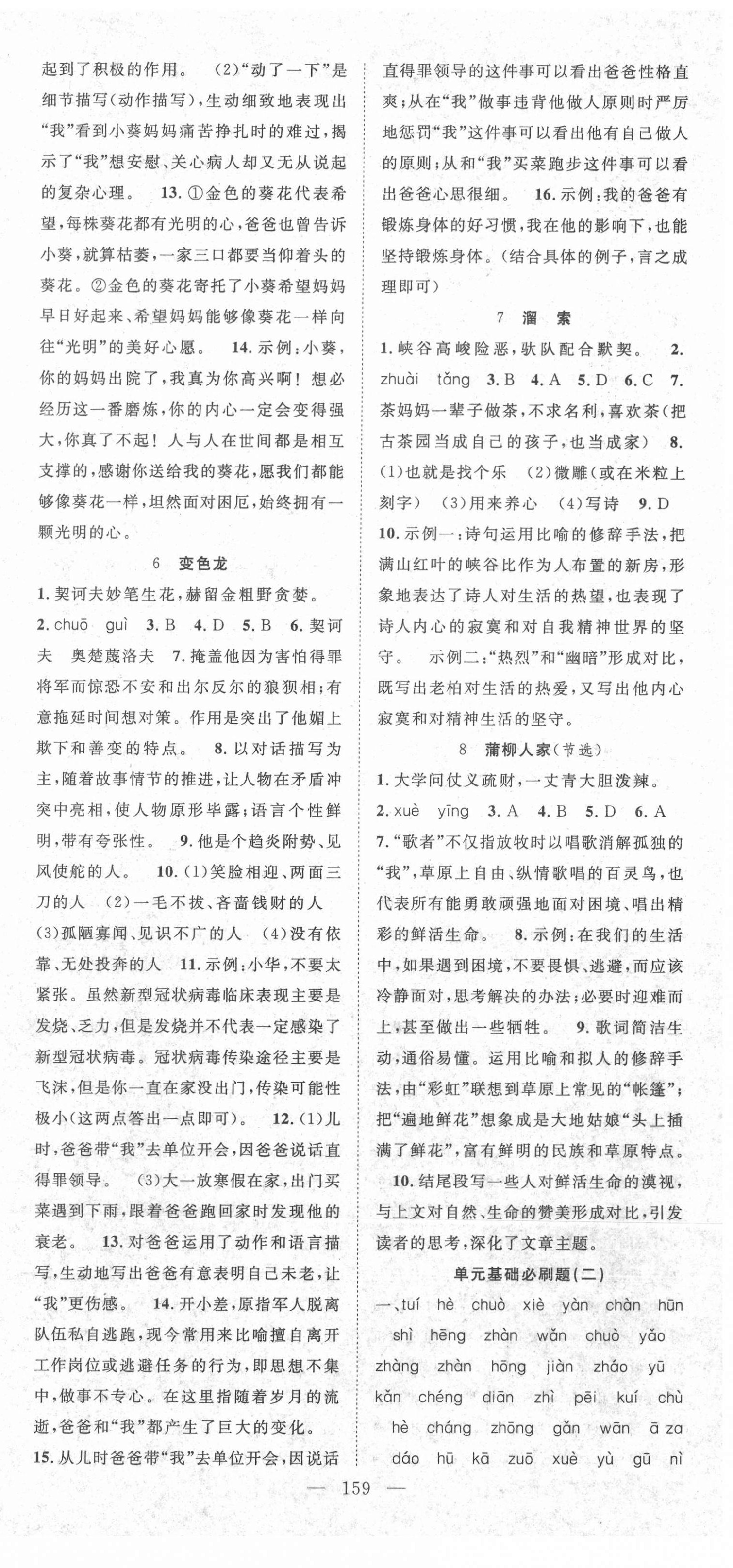 2021年名師學(xué)案九年級語文下冊人教版襄陽專版 第3頁