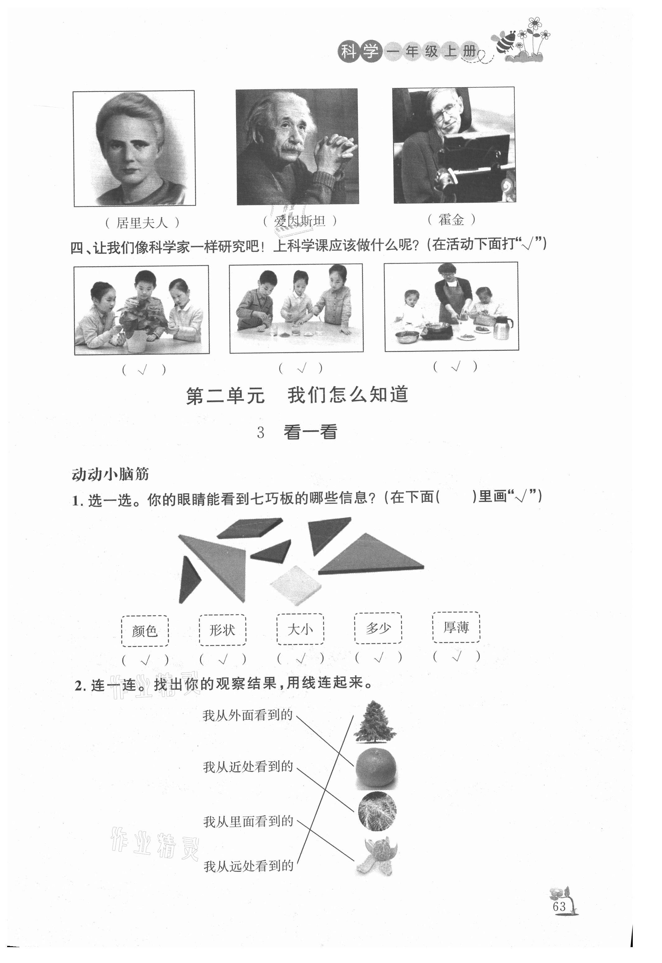 2020年小學課堂作業(yè)一年級科學上冊青島版 參考答案第2頁