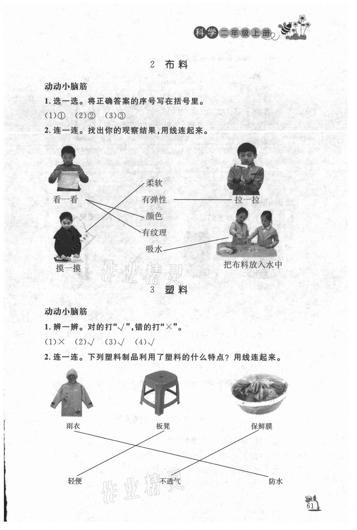 2020年小学课堂作业二年级科学上册青岛版 第3页