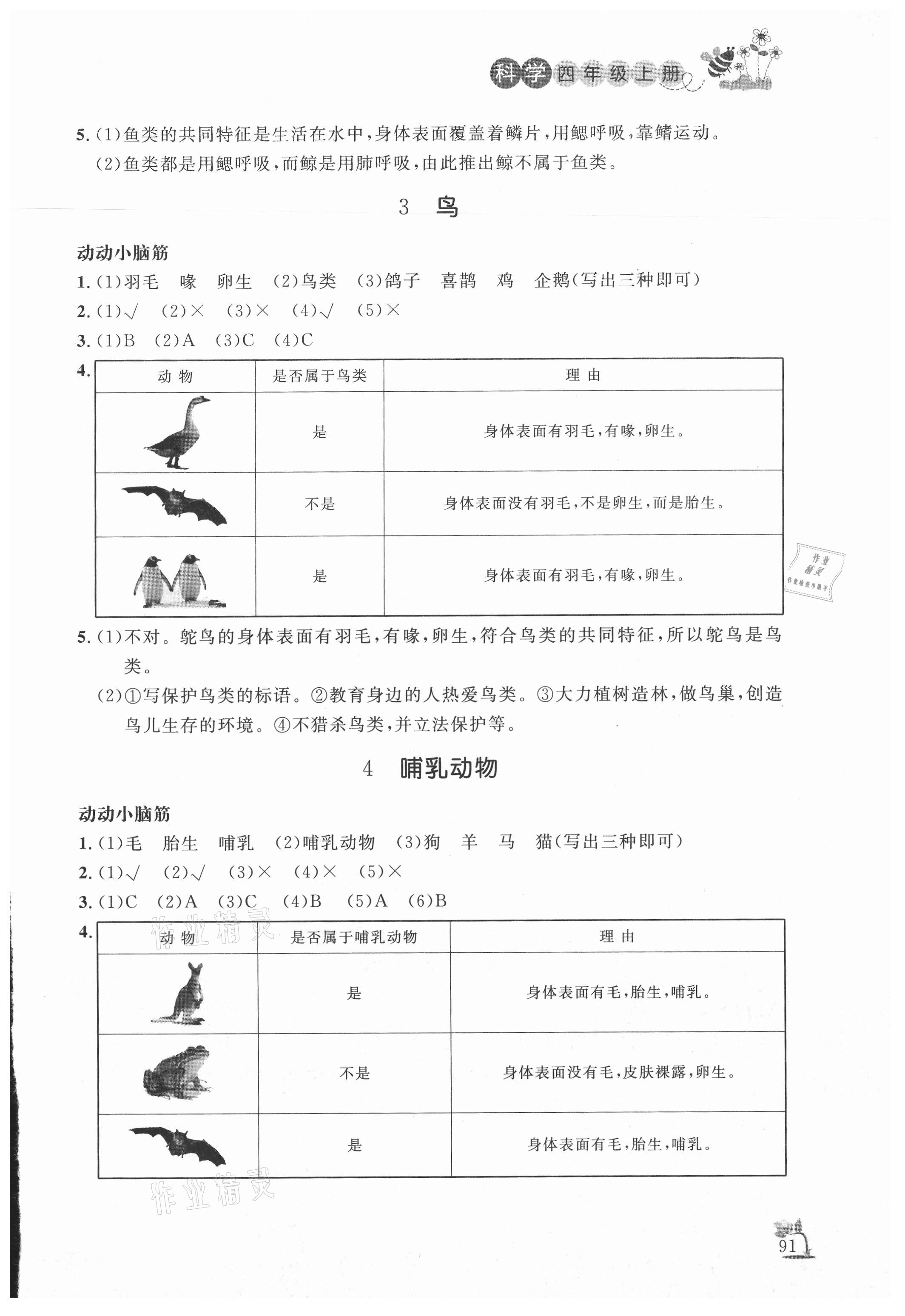 2020年小學(xué)課外作業(yè)四年級(jí)科學(xué)上冊(cè)青島版 參考答案第2頁