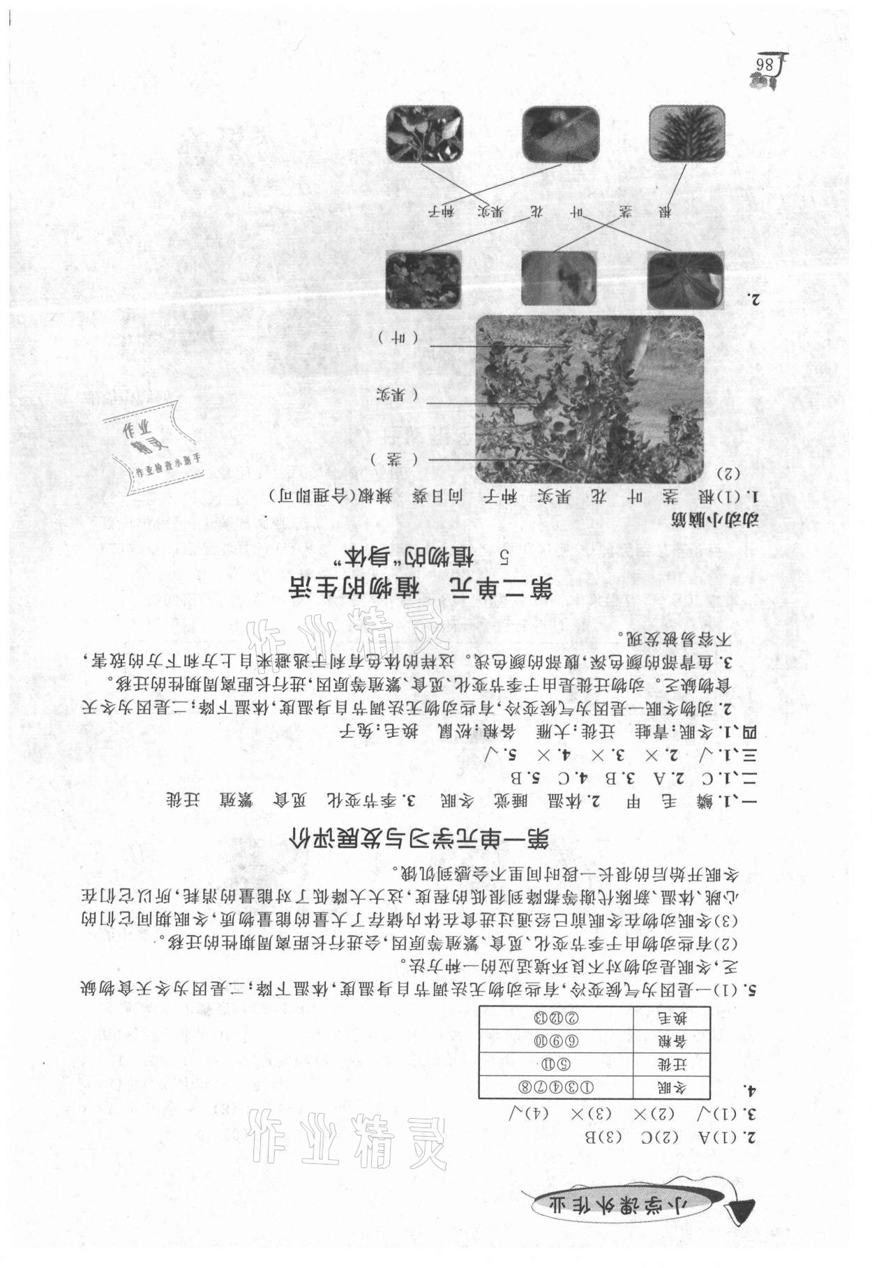 2020年小学课外作业三年级科学上册青岛版 参考答案第3页