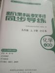 2020年新課標(biāo)教材同步導(dǎo)練九年級(jí)上下冊(cè)合訂本化學(xué)人教版