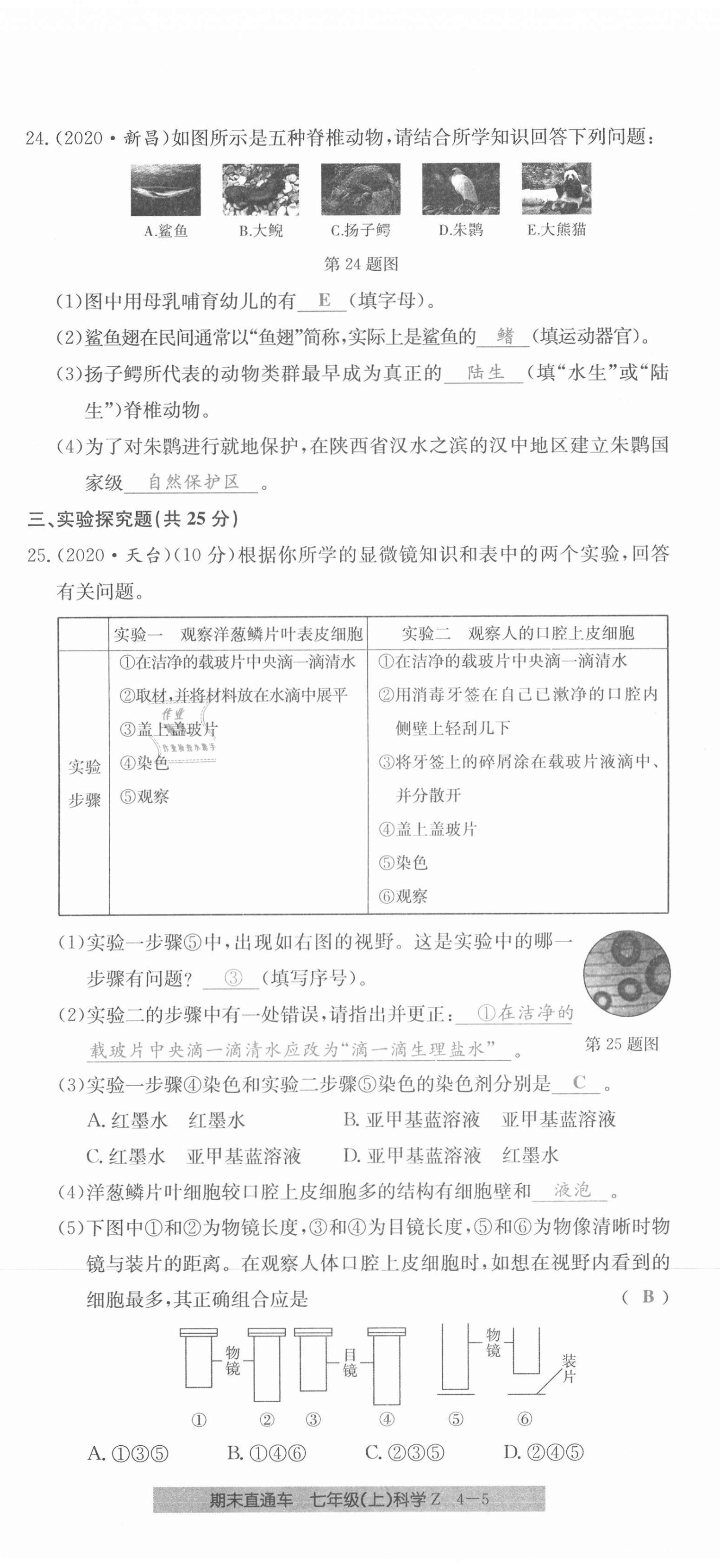 2020年創(chuàng)新測(cè)試卷期末直通車(chē)七年級(jí)科學(xué)上冊(cè)浙教版 第23頁(yè)