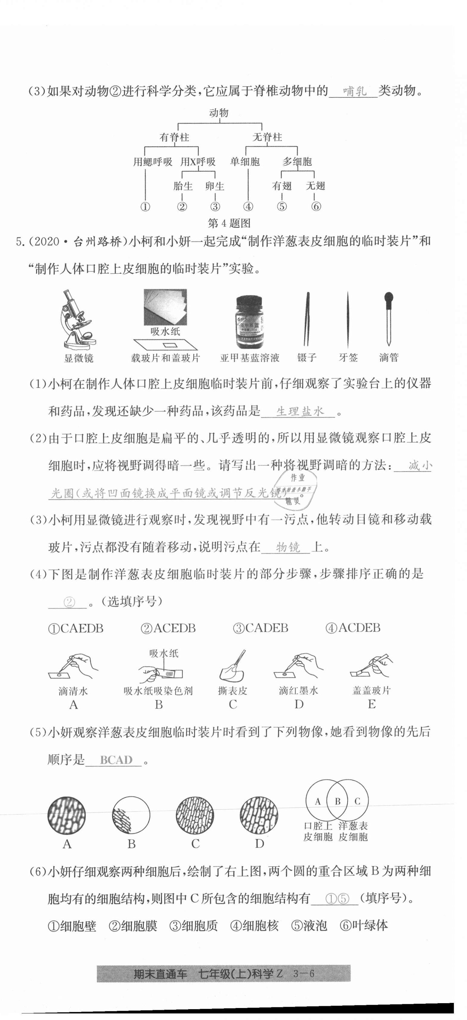 2020年创新测试卷期末直通车七年级科学上册浙教版 第18页