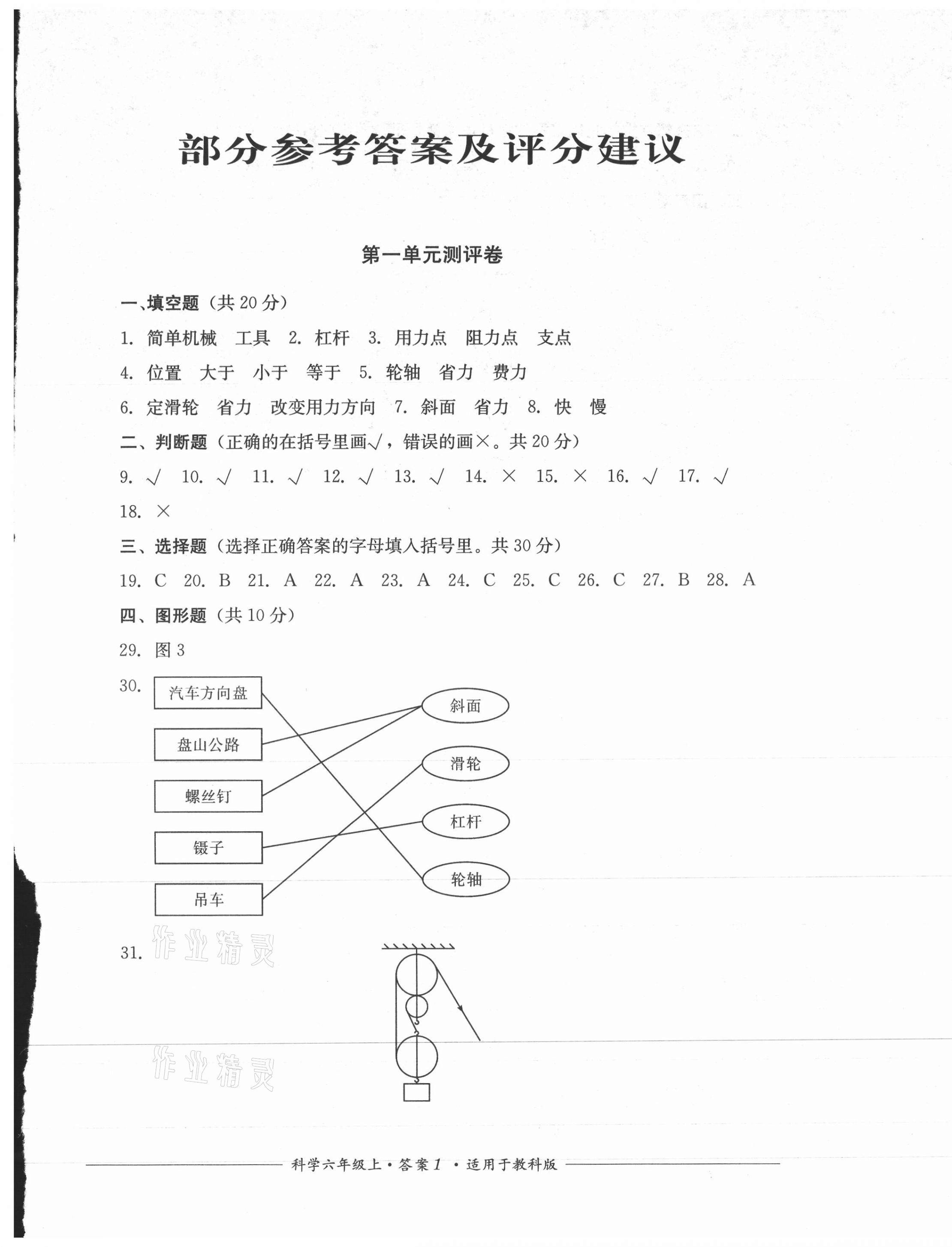 2020年單元測評六年級科學上冊教科版四川教育出版社 第1頁