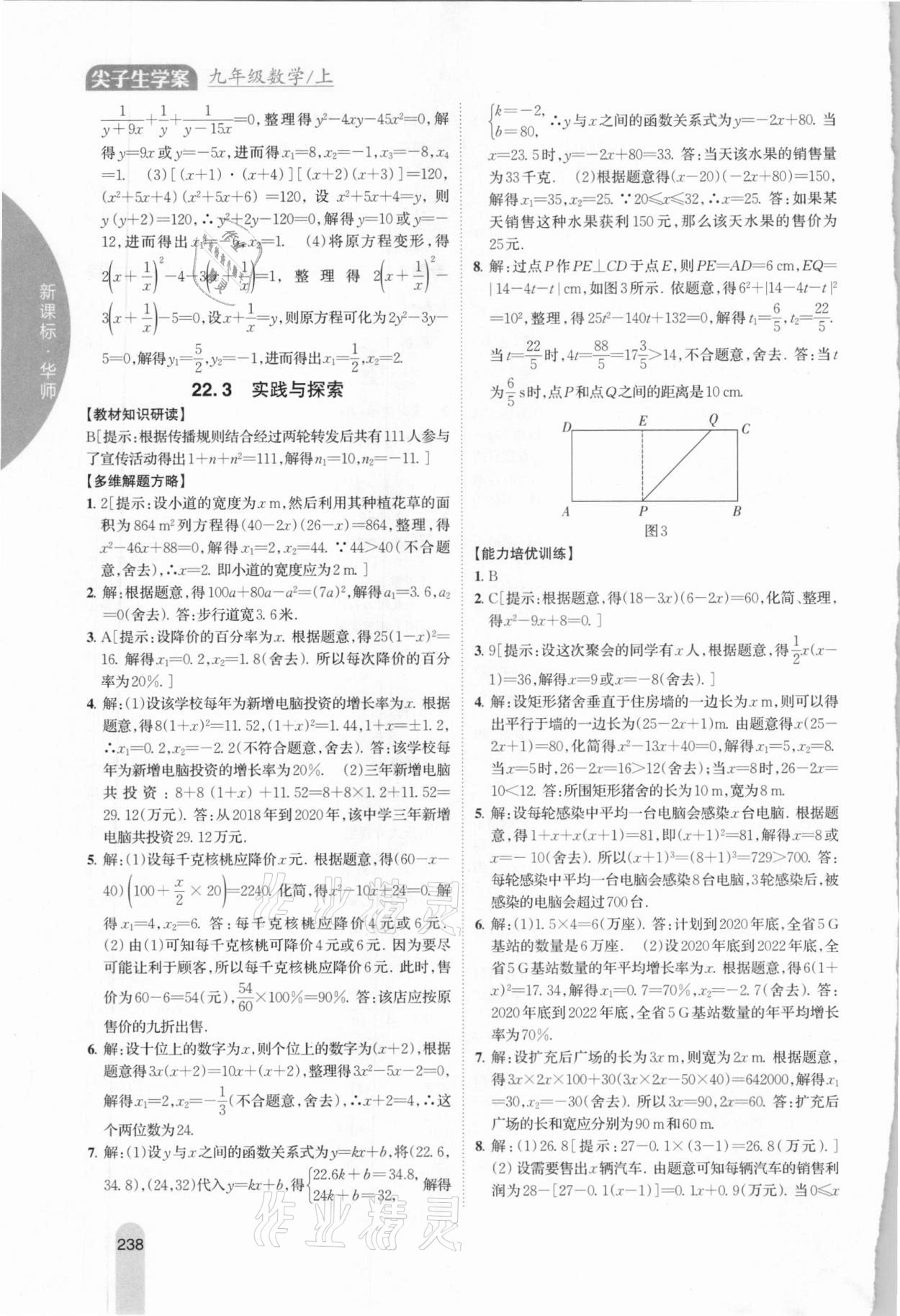 2020年尖子生学案九年级数学上册华师大版 参考答案第10页