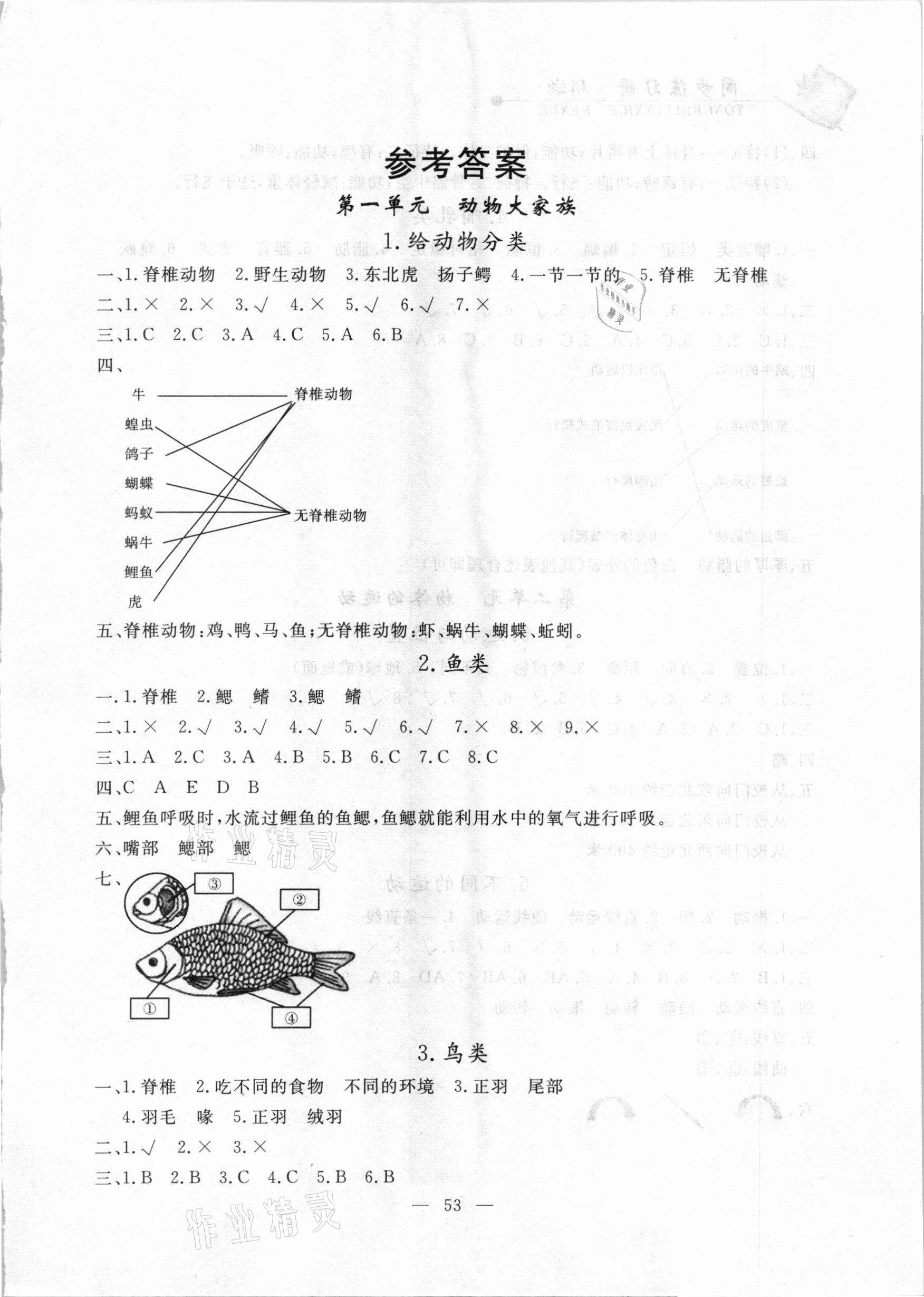 2020年同步练习册四年级科学上册苏教版山东科学技术出版社 第1页