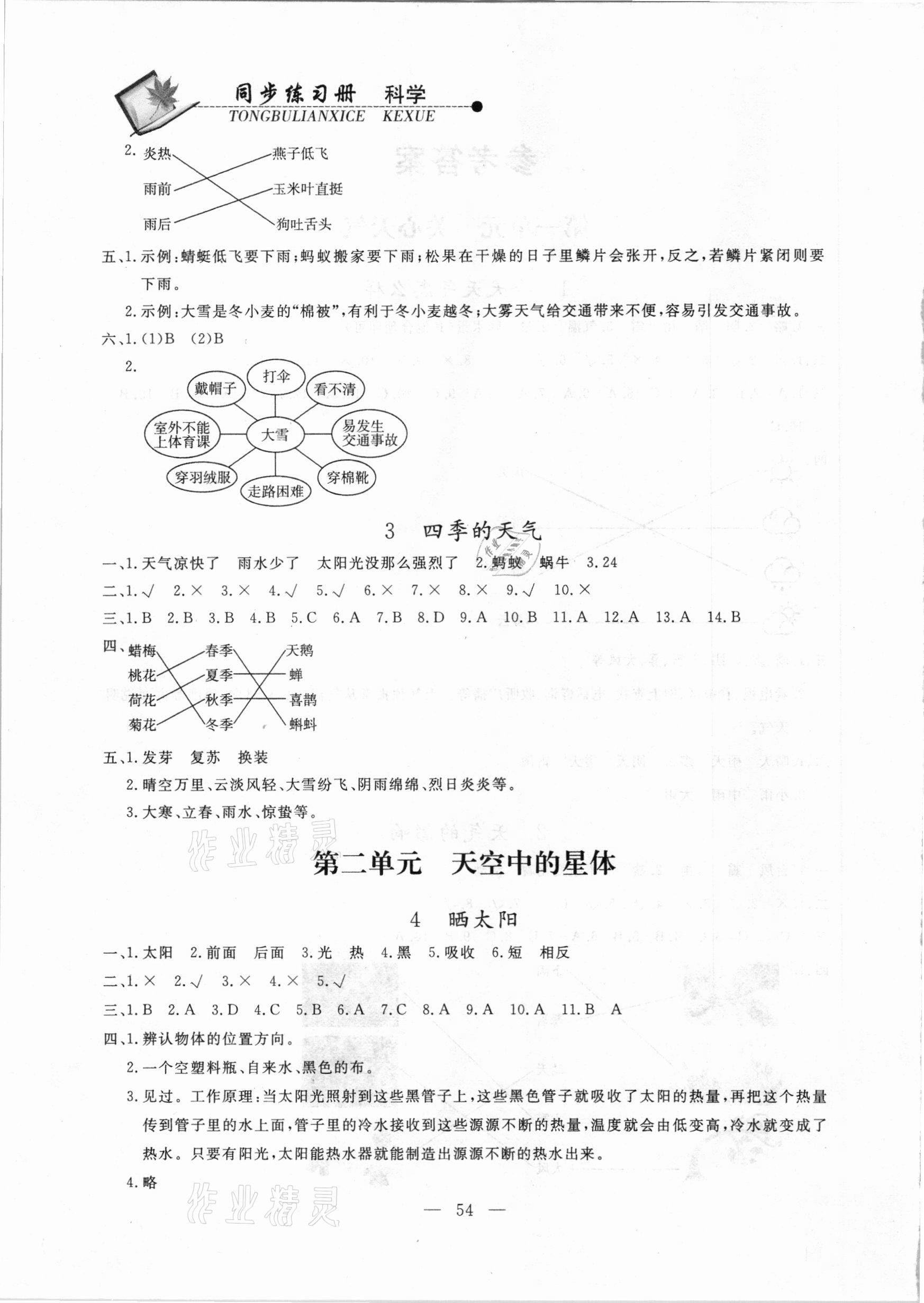 2020年同步練習(xí)冊二年級科學(xué)上冊蘇教版山東科學(xué)技術(shù)出版社 參考答案第2頁