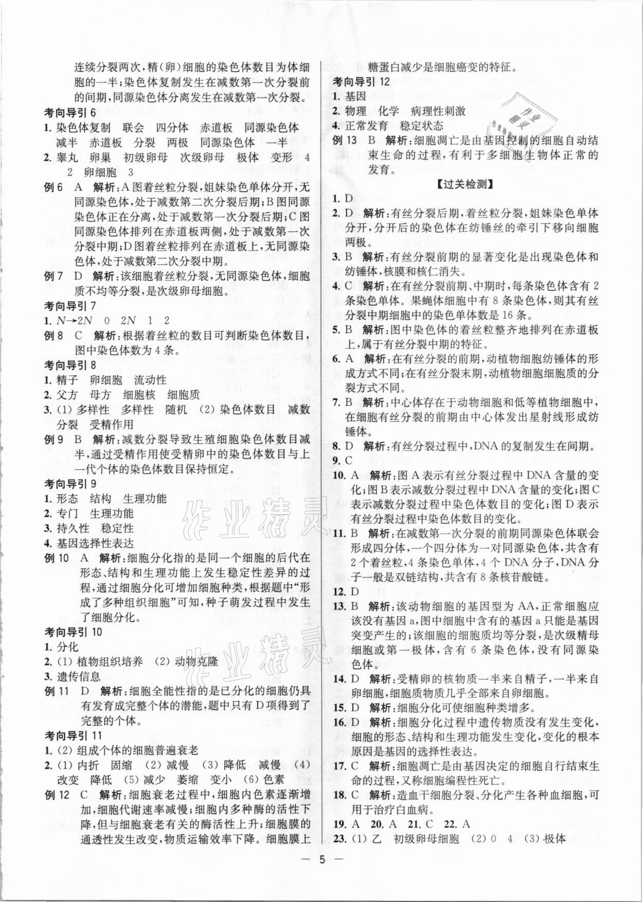 2021年學(xué)業(yè)水平總復(fù)習(xí)生物大試卷版 參考答案第5頁