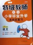 2020年特級教師小學(xué)畢業(yè)升學(xué)系統(tǒng)總復(fù)習(xí)語文部編版