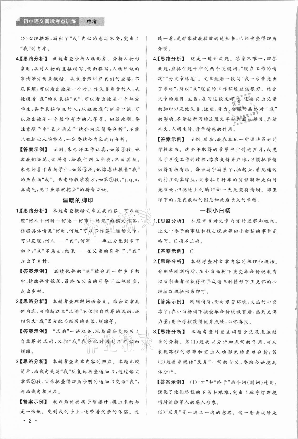 2020年初中語文閱讀考點訓練中考 第2頁