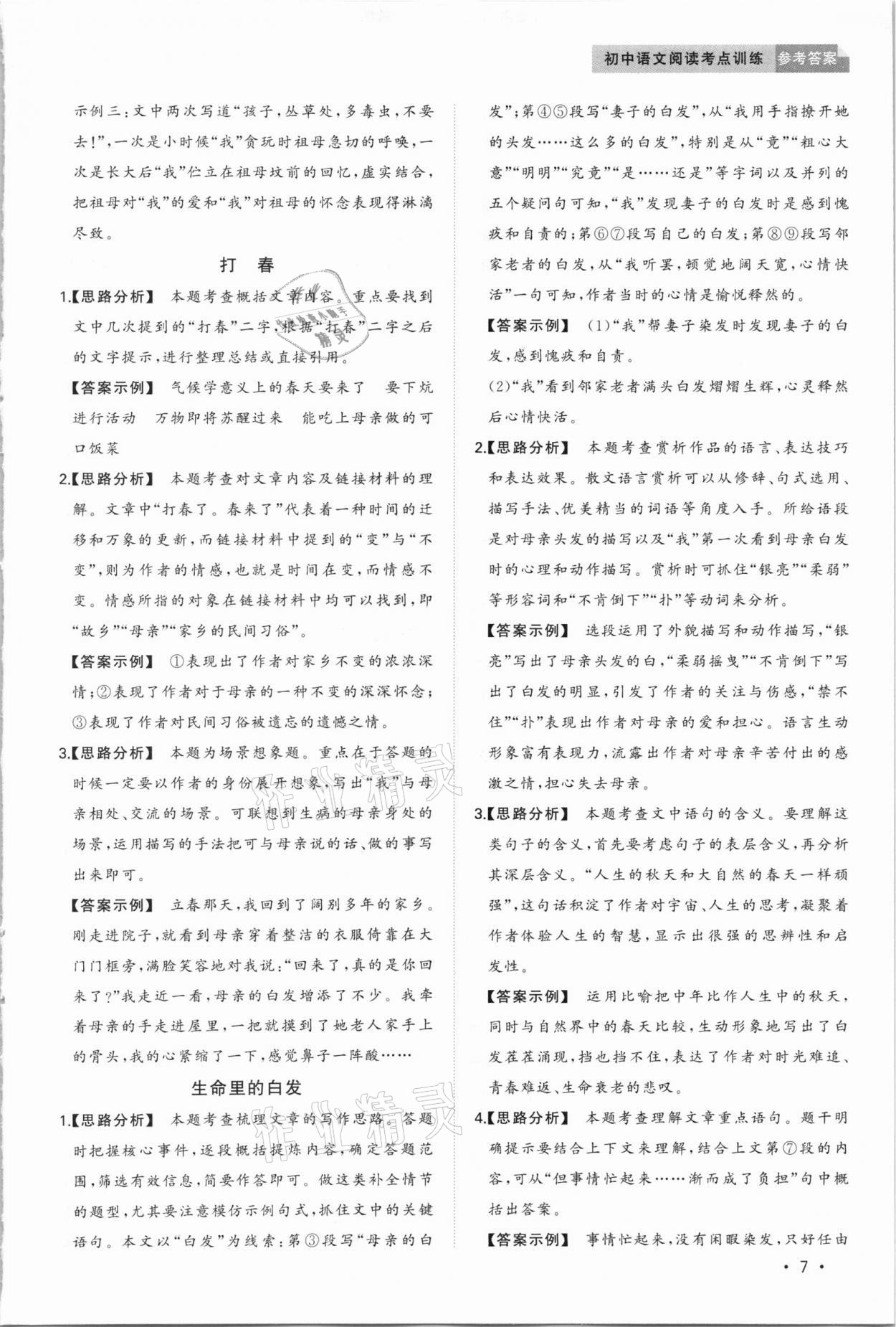 2020年初中語文閱讀考點訓練中考 第7頁