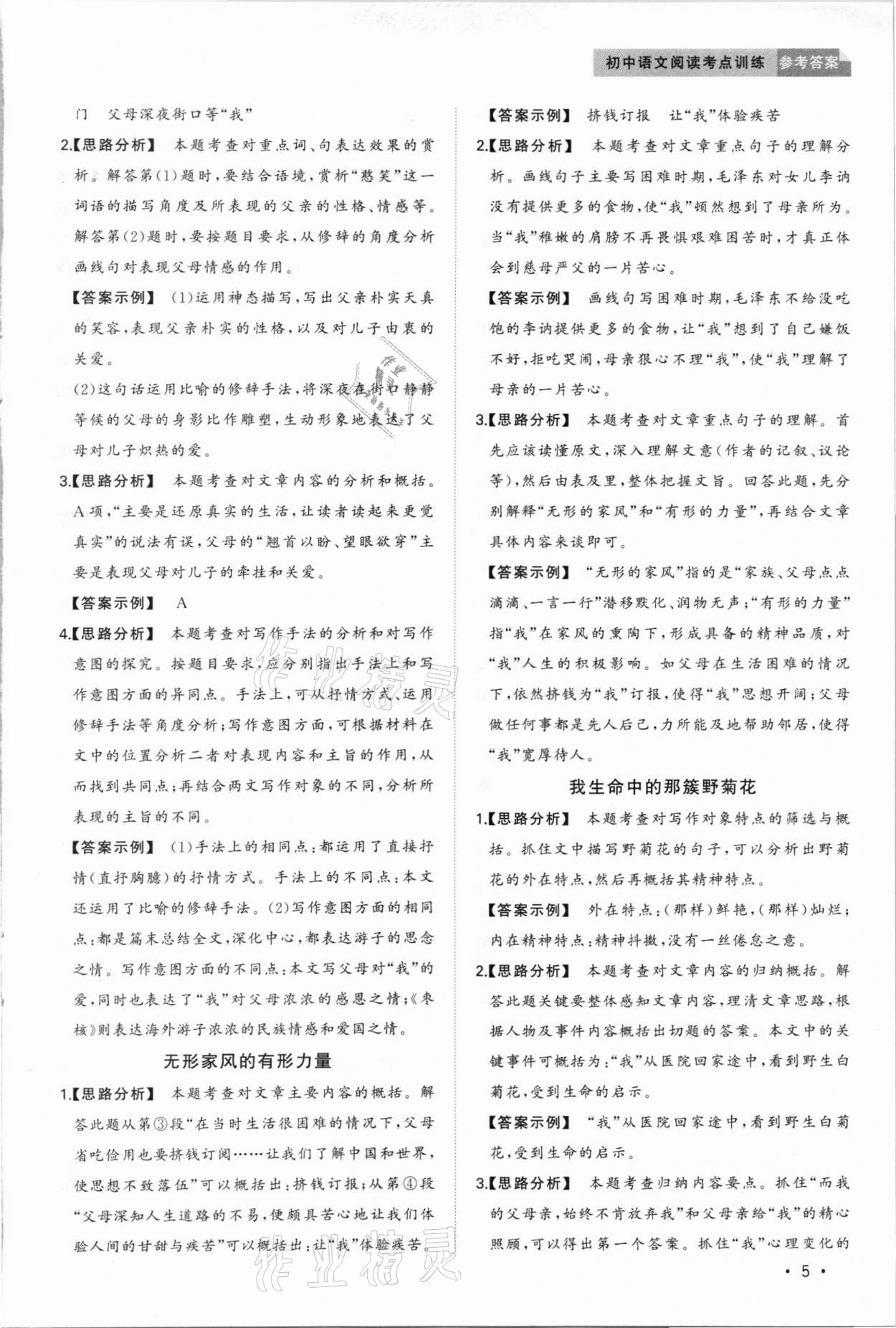 2020年初中語文閱讀考點訓練中考 第5頁