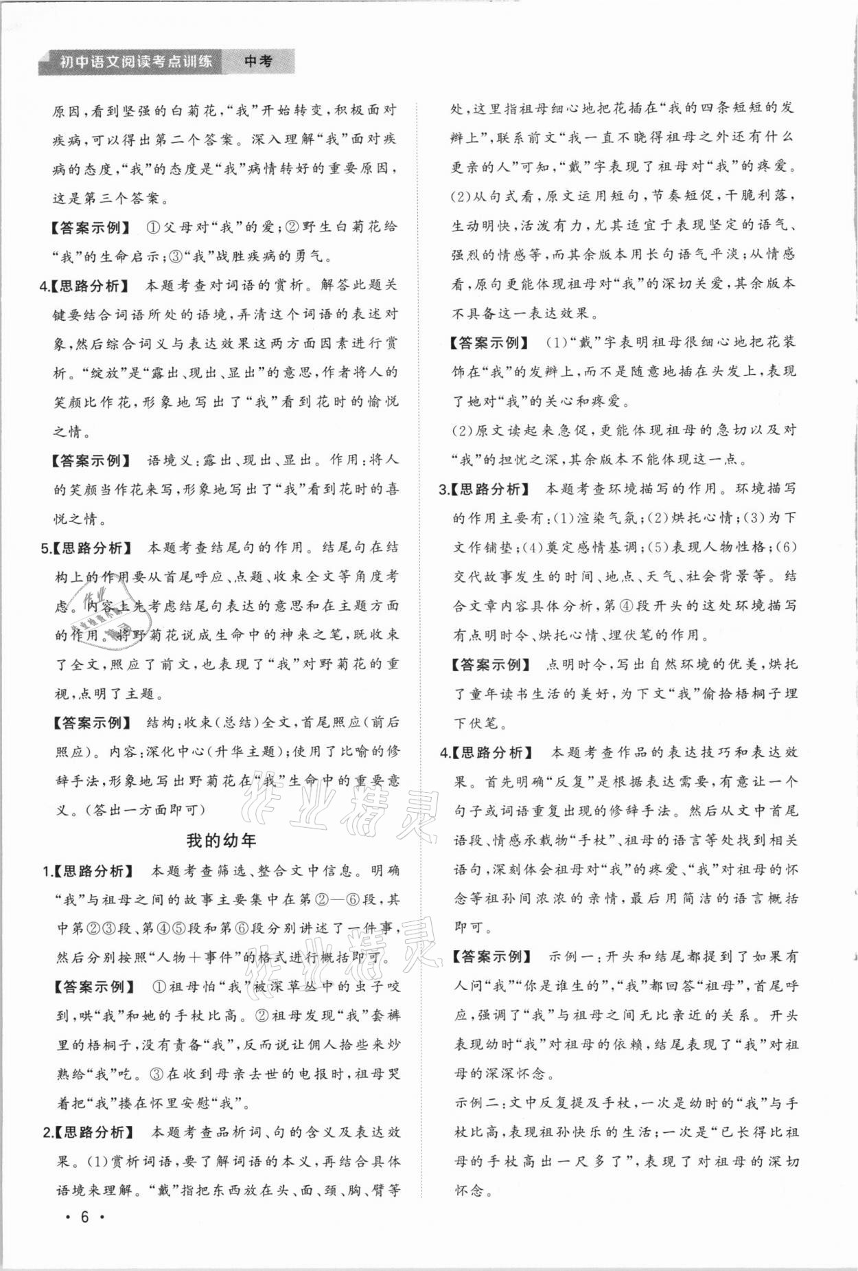 2020年初中語文閱讀考點訓練中考 第6頁