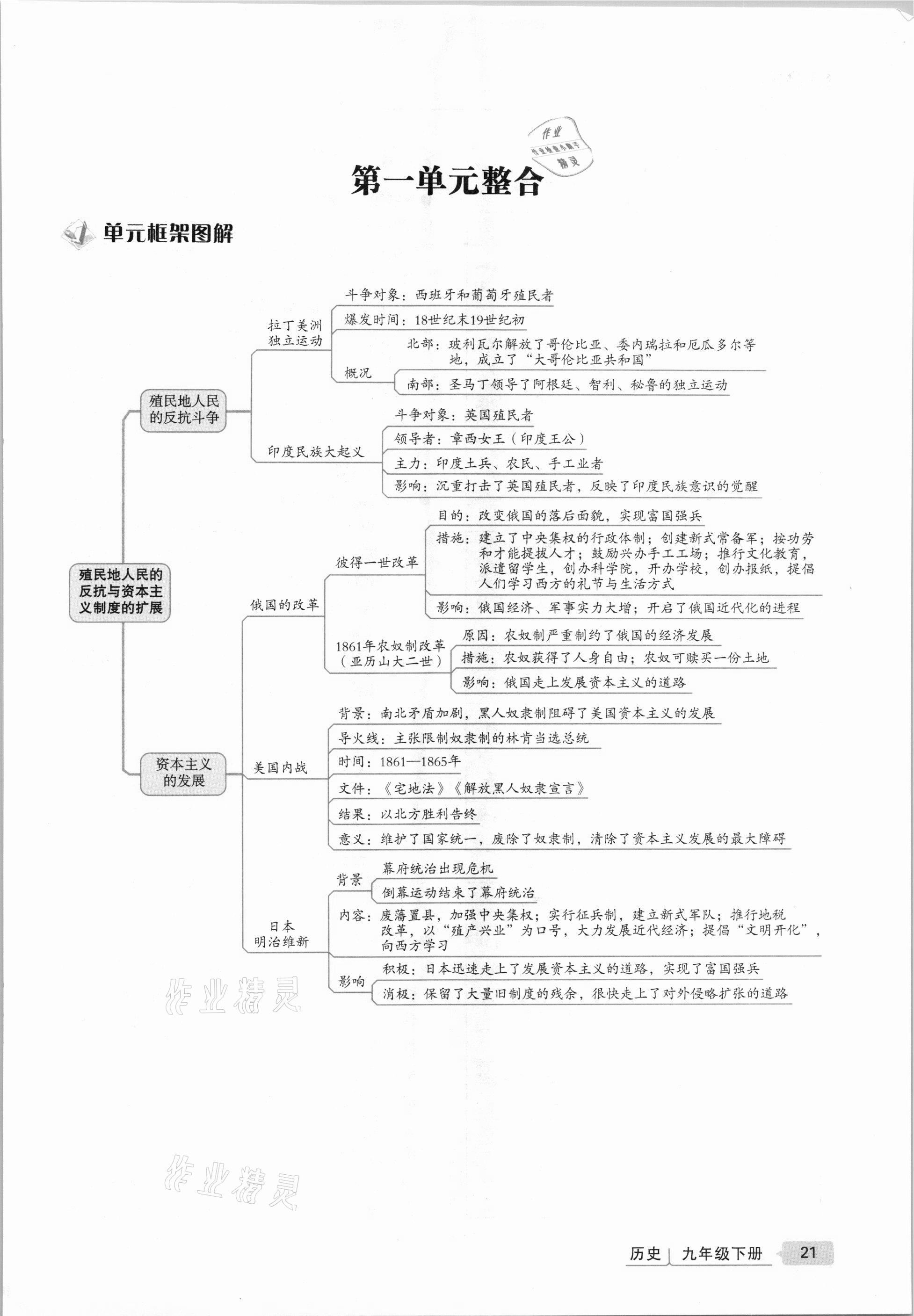 2021年高分突破課時(shí)達(dá)標(biāo)講練測九年級歷史下冊人教版 第21頁