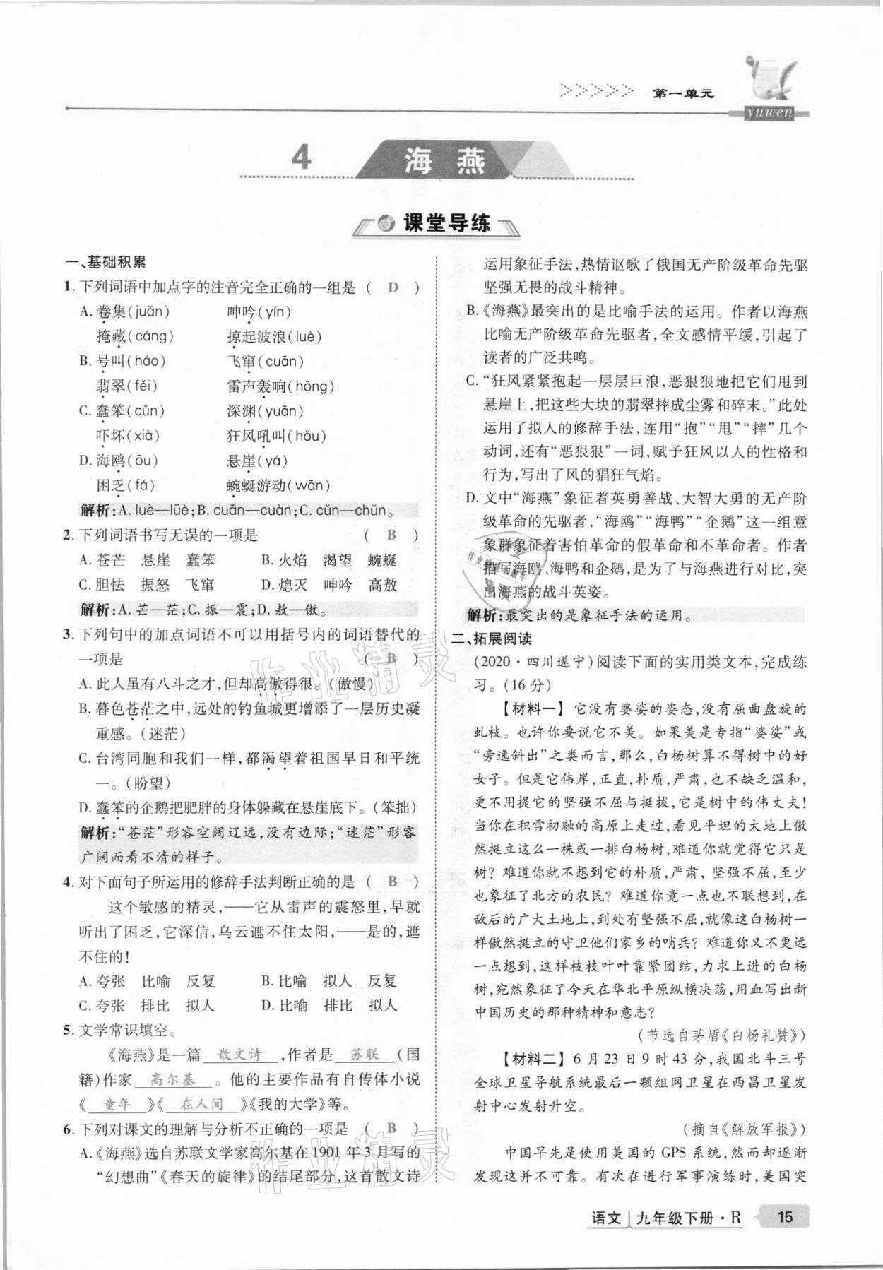 2021年高分突破課時(shí)達(dá)標(biāo)講練測(cè)九年級(jí)語(yǔ)文下冊(cè)人教版 第15頁(yè)