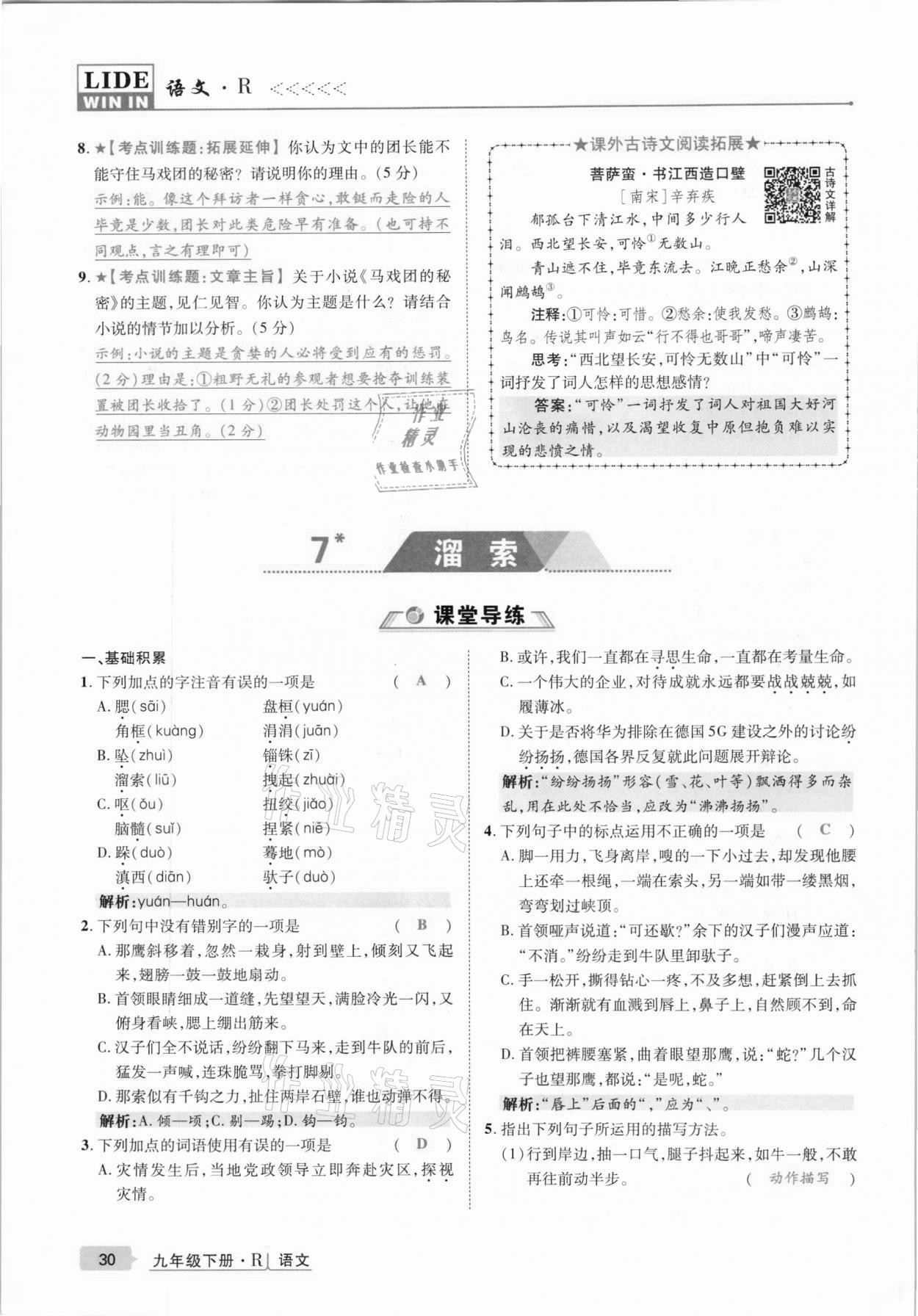 2021年高分突破課時(shí)達(dá)標(biāo)講練測(cè)九年級(jí)語(yǔ)文下冊(cè)人教版 第30頁(yè)