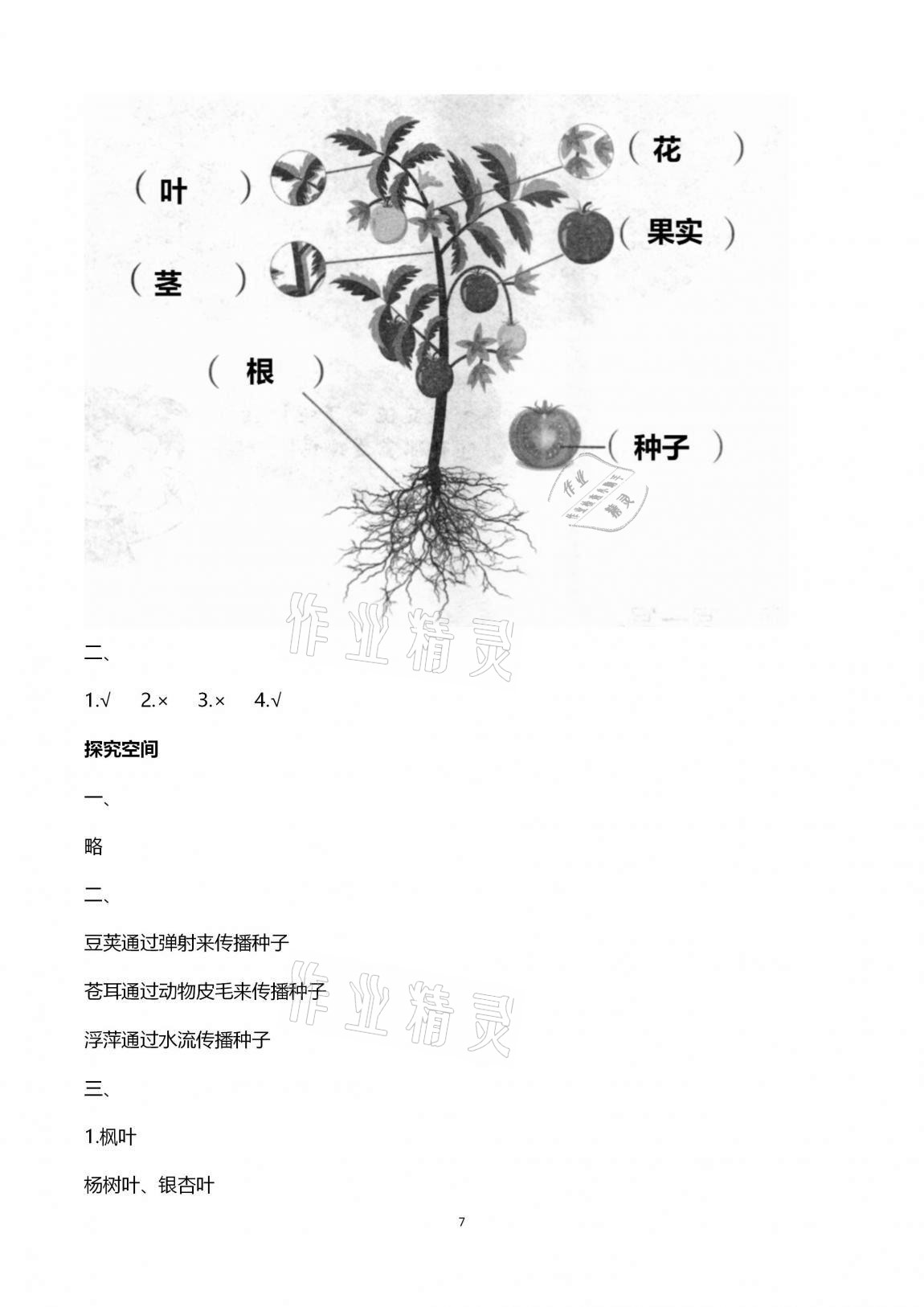 2020年新課堂同步學習與探究三年級科學上學期青島版金鄉專版 第7頁