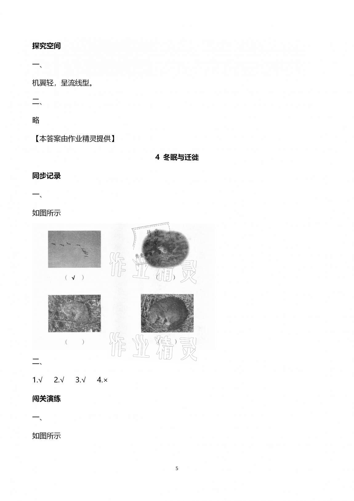2020年新課堂同步學習與探究三年級科學上學期青島版金鄉專版 第5頁