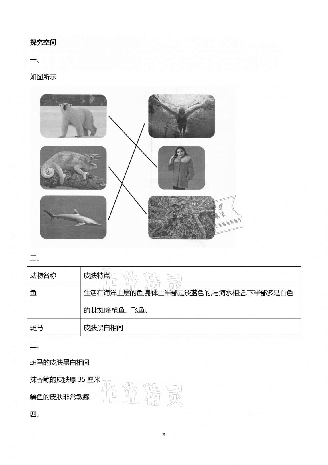 2020年新課堂同步學習與探究三年級科學上學期青島版金鄉專版 第3頁