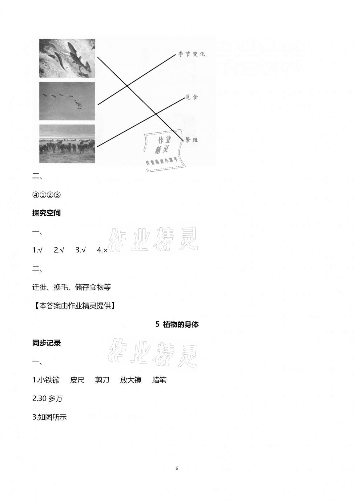 2020年新課堂同步學習與探究三年級科學上學期青島版金鄉專版 第6頁