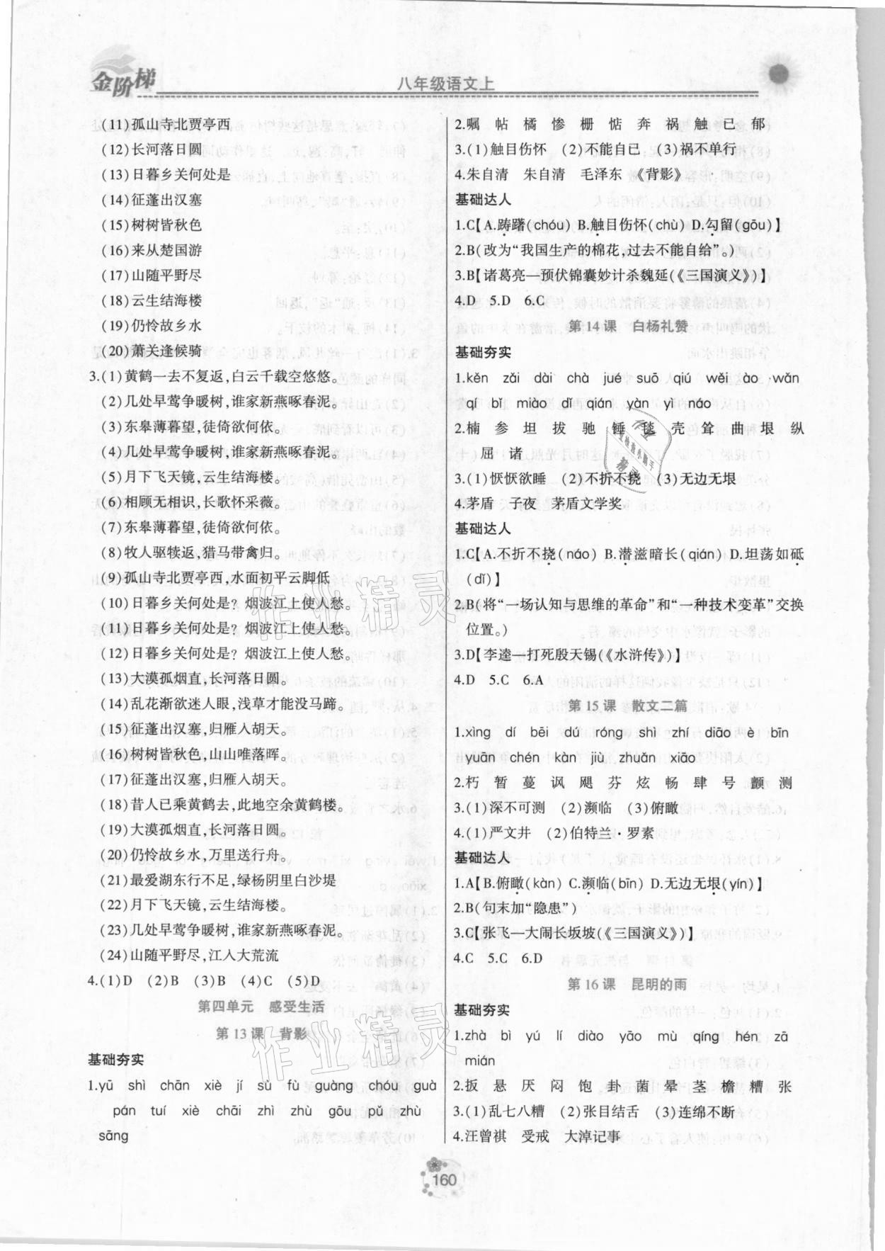 2020年金階梯課課練單元測(cè)八年級(jí)語(yǔ)文上冊(cè)人教版 第4頁(yè)